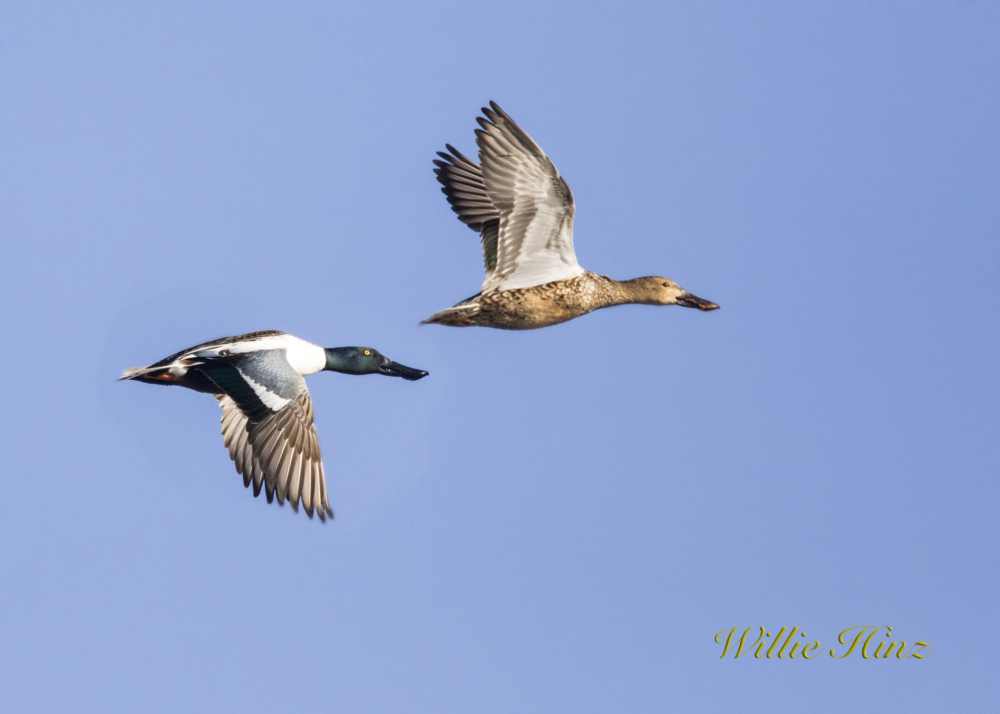 Canon EF 400mm F4.0 DO IS USM sample photo. Ix9a2890.jpg photography