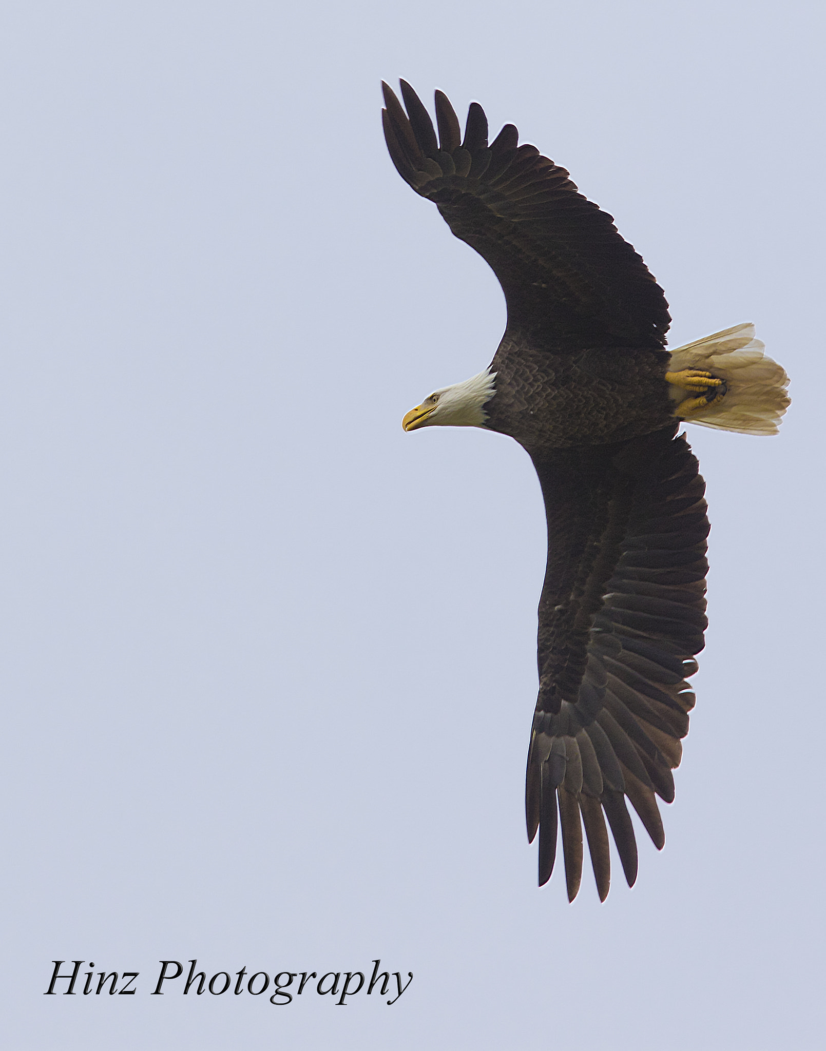Canon EF 400mm F4.0 DO IS USM sample photo. Ix9a9605.jpg photography