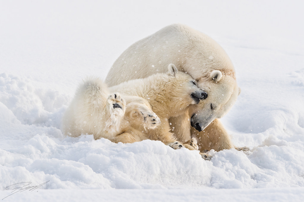 Enjoying life with mom by Roy Mangersnes on 500px.com