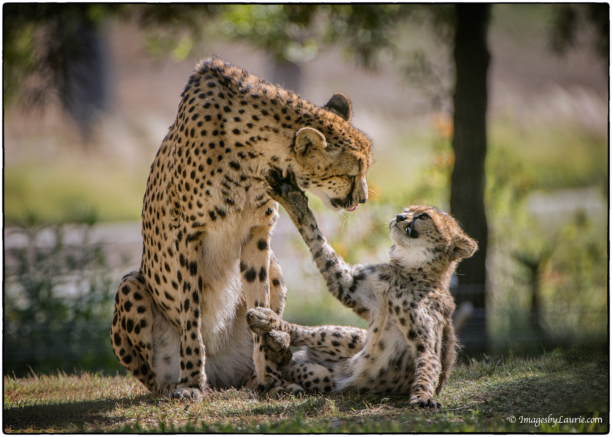 Nikon AF-S Nikkor 200-400mm F4G ED-IF VR sample photo. But mom, i don't want to take a bath! photography