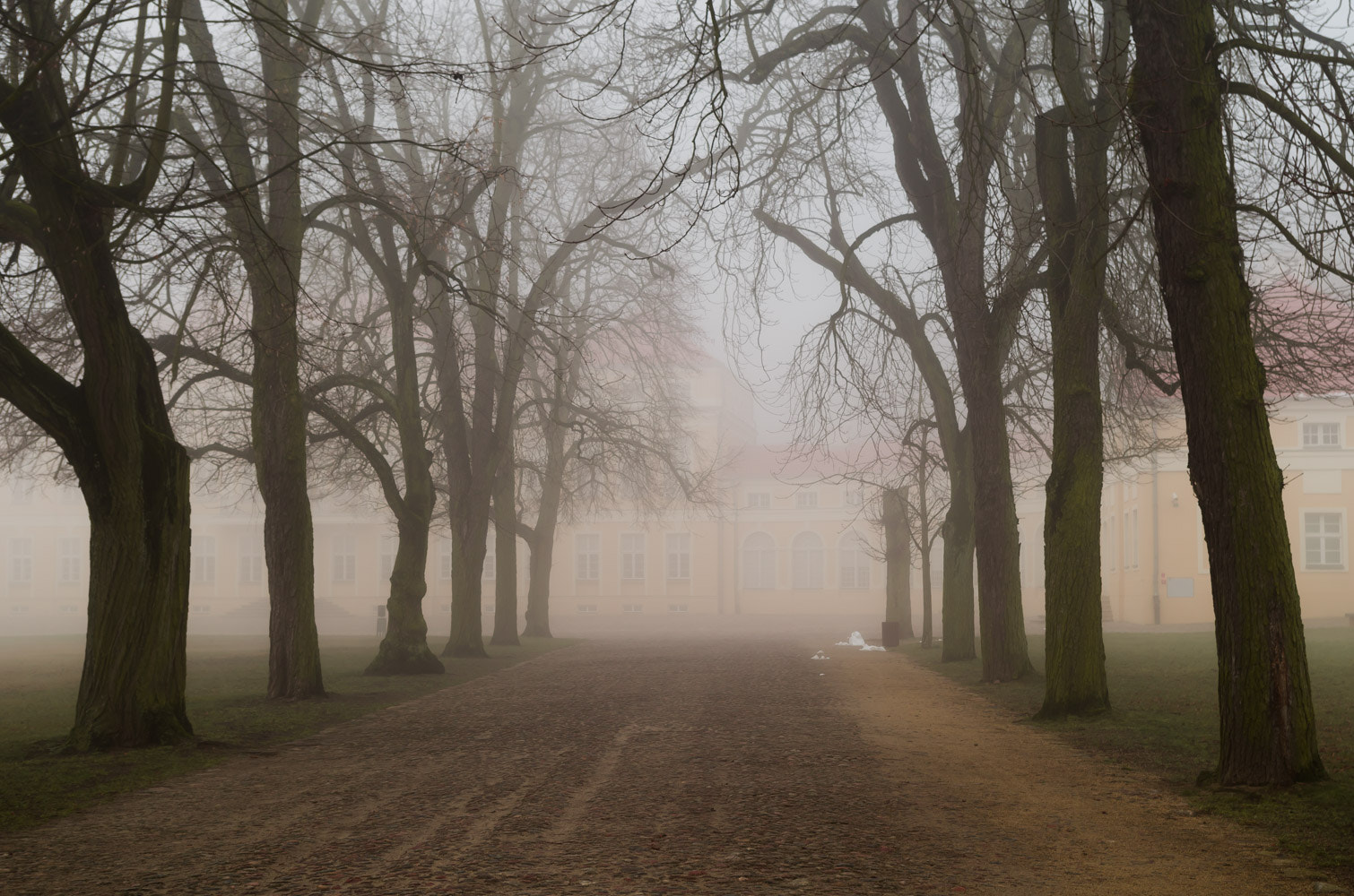 Pentax smc DA 18-55mm F3.5-5.6 AL WR sample photo. The palace in the fog photography