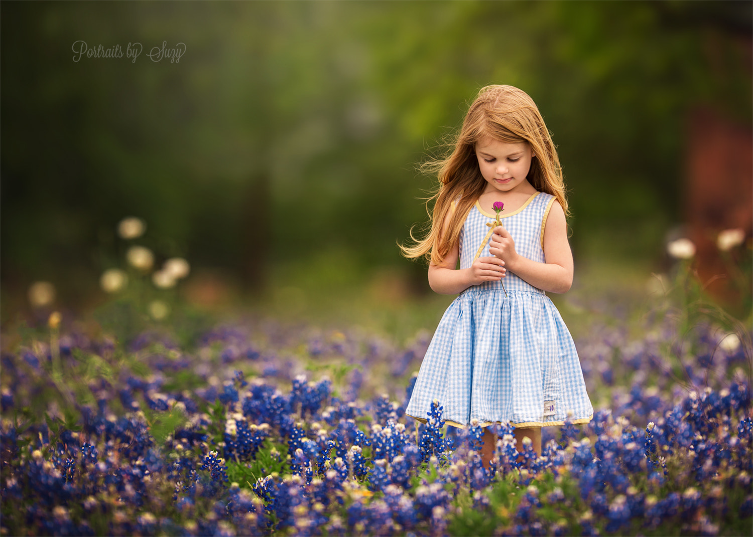 Canon EOS 6D + Canon EF 200mm F2L IS USM sample photo. Little flower photography