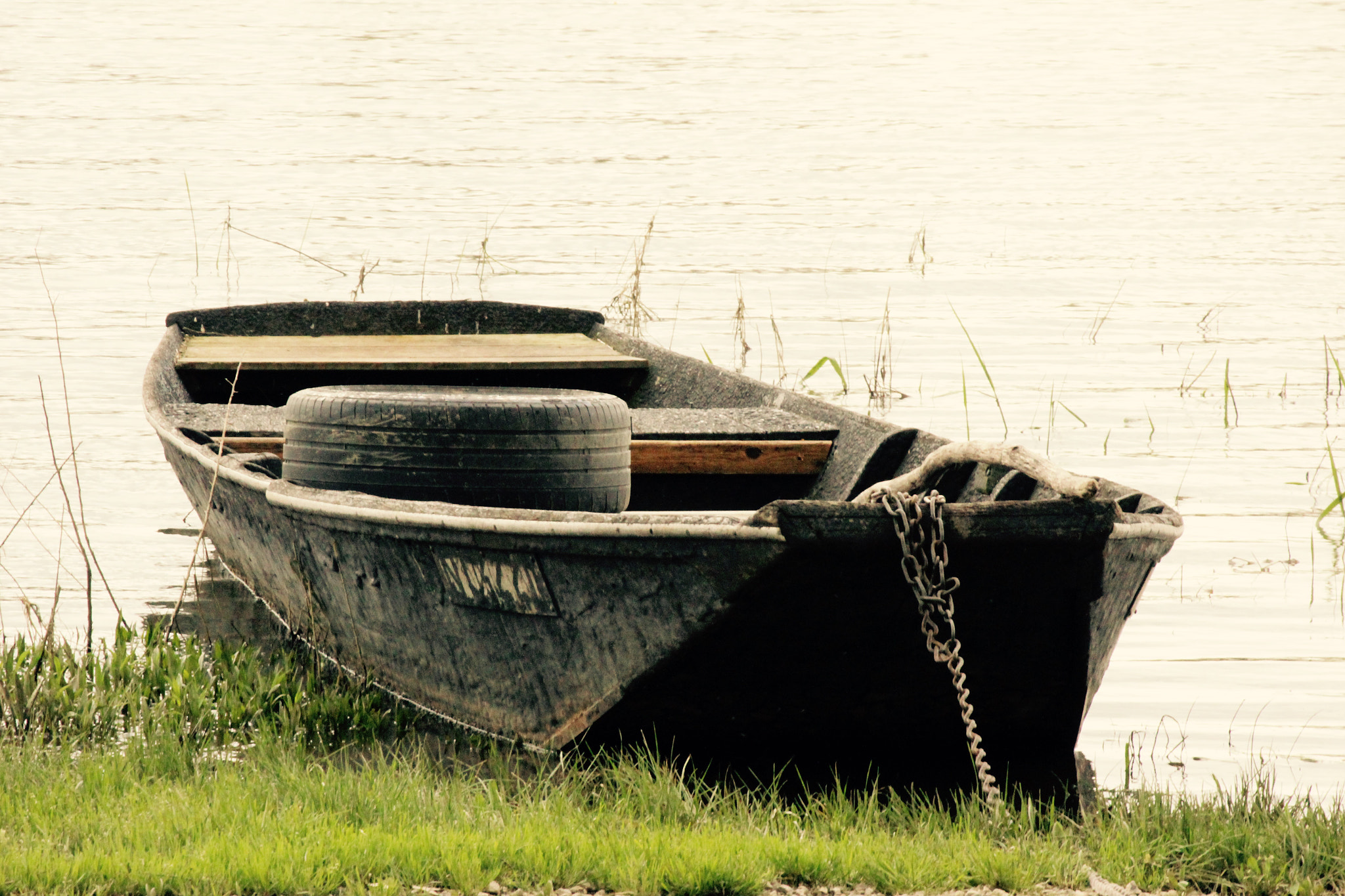 Canon EF-S 55-250mm F4-5.6 IS II sample photo. Image photography
