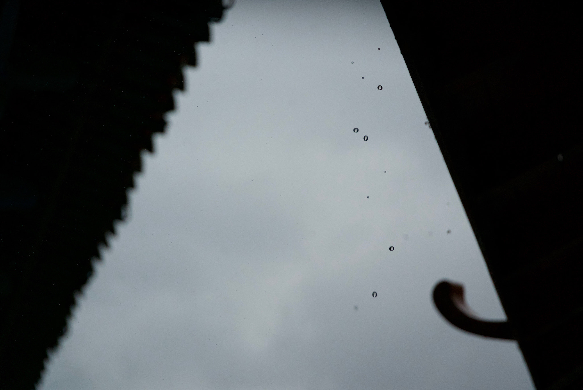 Sony a7S II + Sony FE PZ 28-135mm F4 G OSS sample photo. 雨 photography