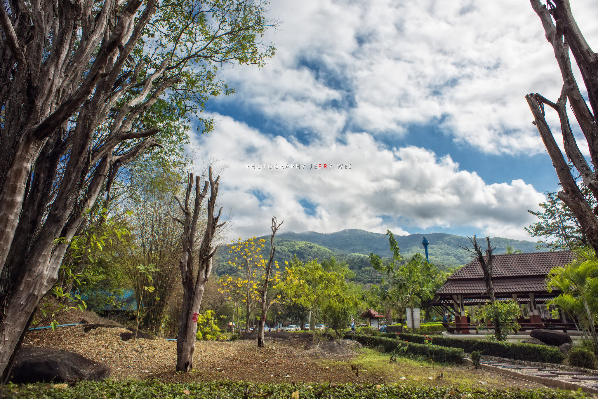 Nikon D810 + Nikon AF Nikkor 20mm F2.8D sample photo. 25369360604.jpg photography