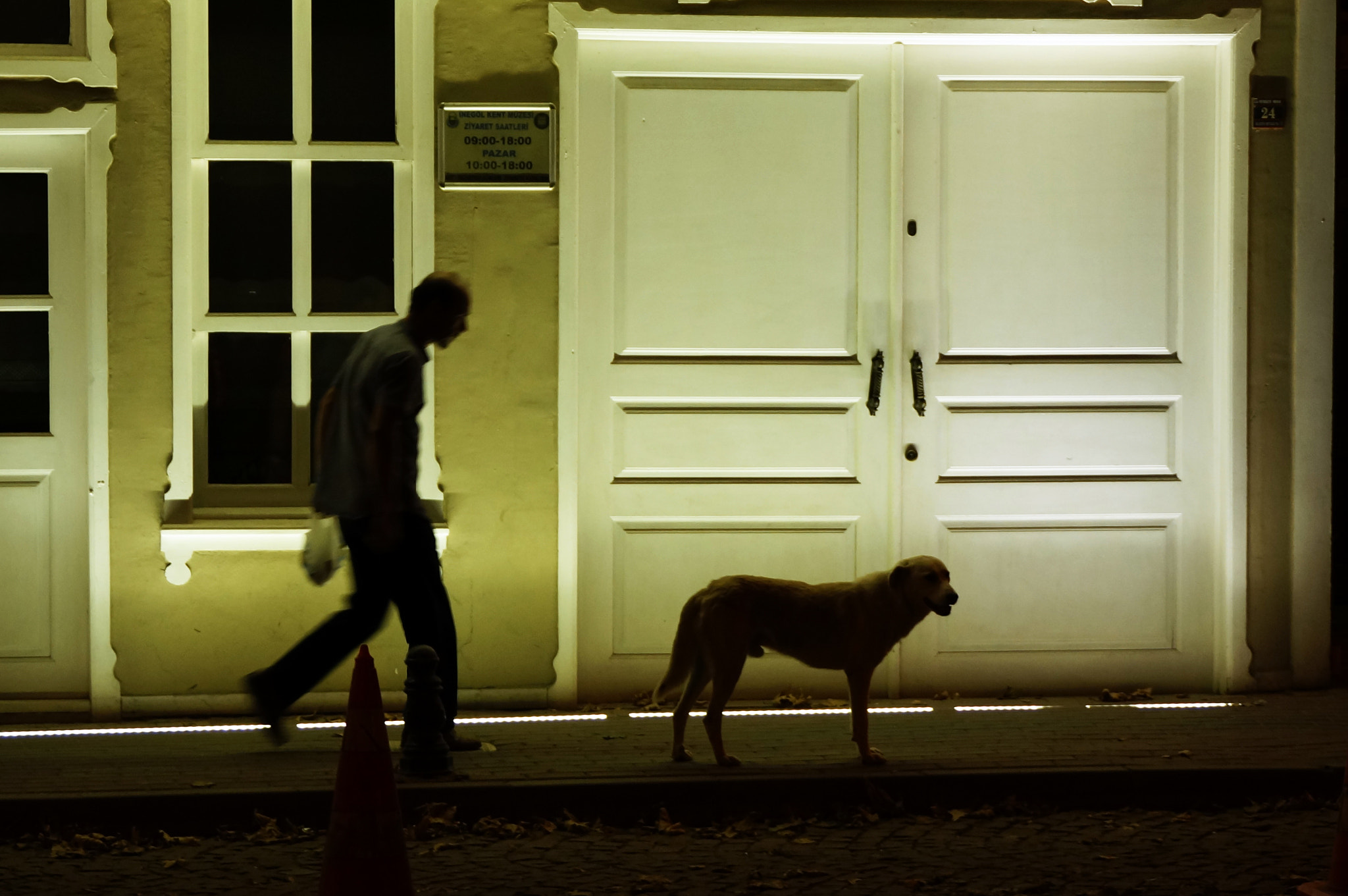 Sony DT 18-200mm F3.5-6.3 sample photo. Bır dost.. photography