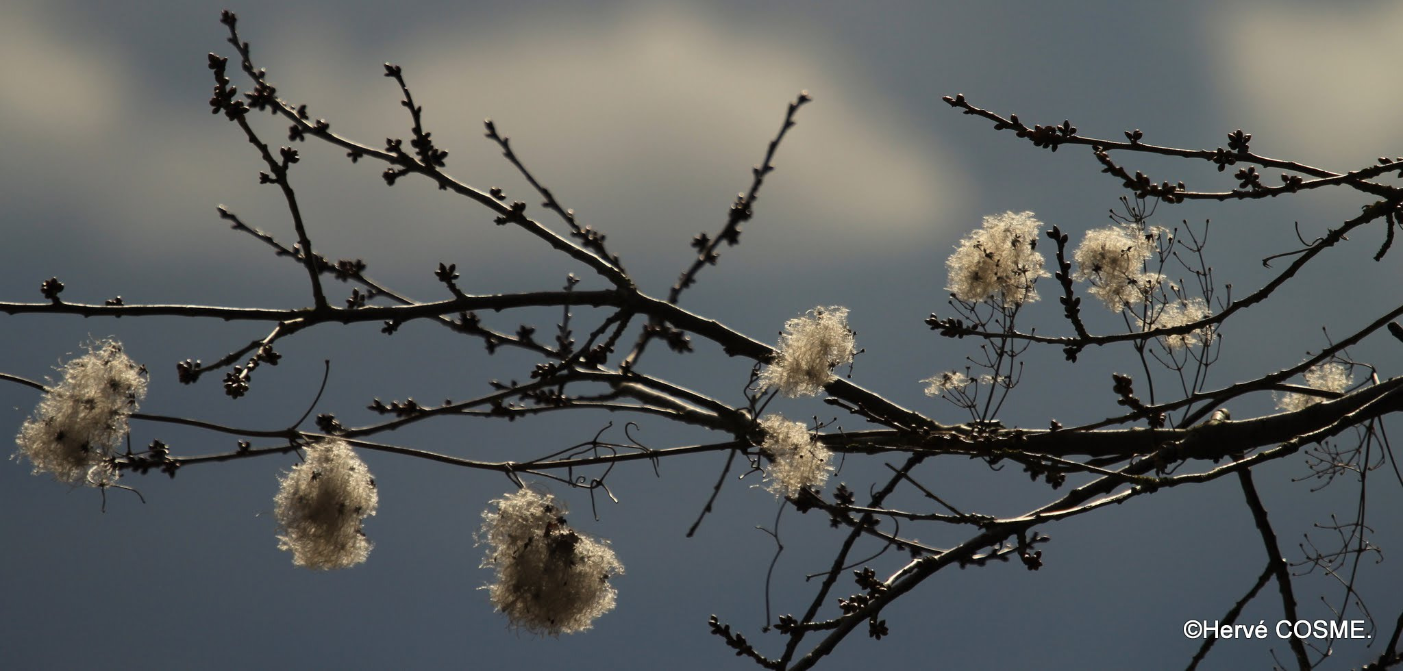 Canon EF 100-400mm F4.5-5.6L IS USM sample photo. Printemps.... photography