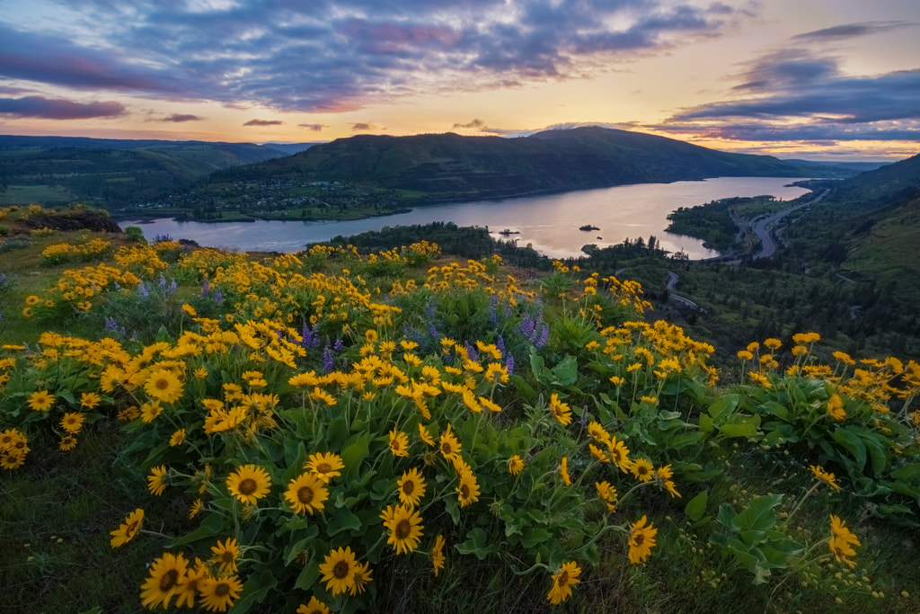 Rowena Crest Sunrise by Erwin Buske / 500px