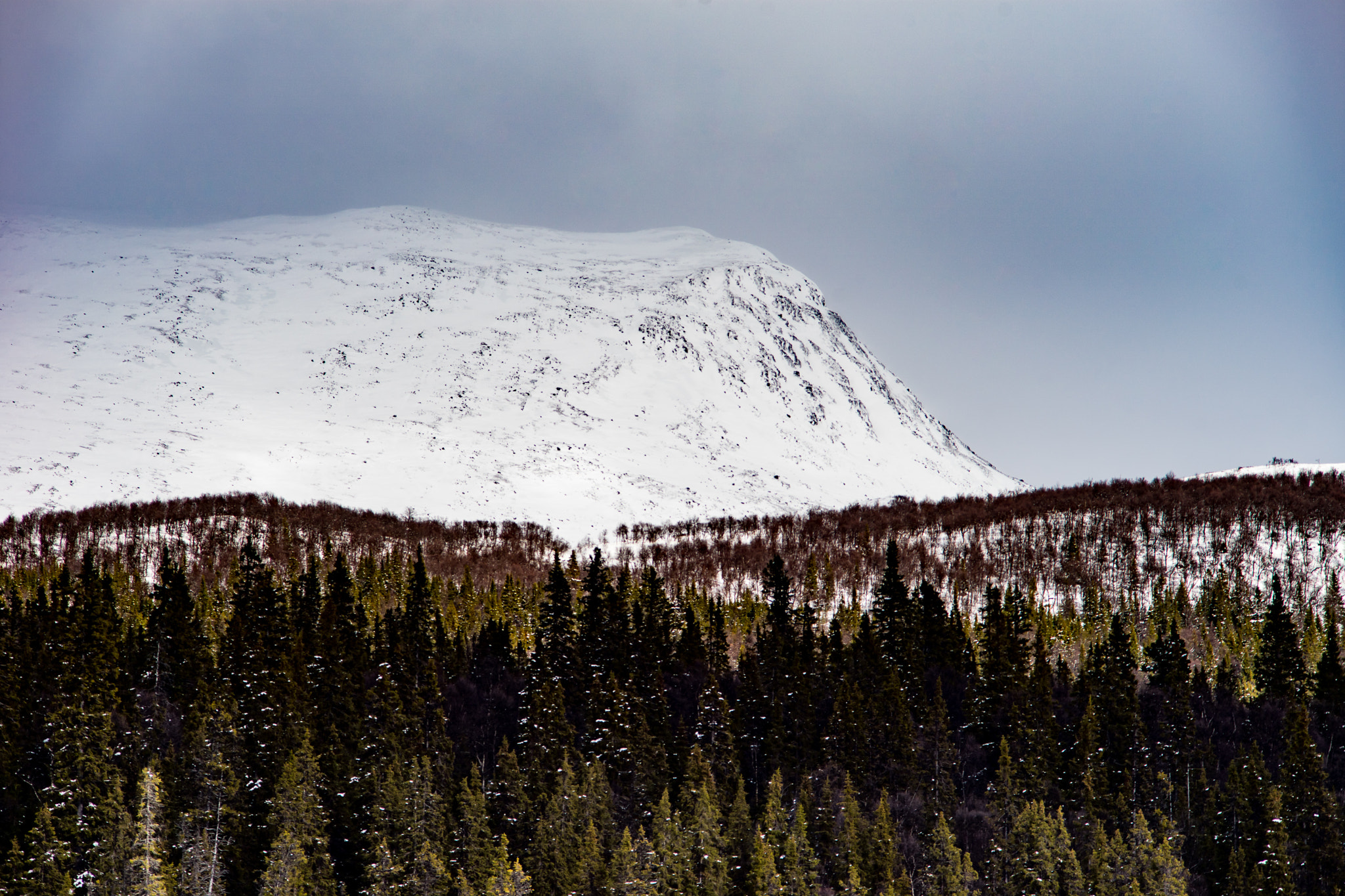 Sony a7 + Minolta AF 70-210mm F4 Macro sample photo. Saxnas, sweden 4 photography