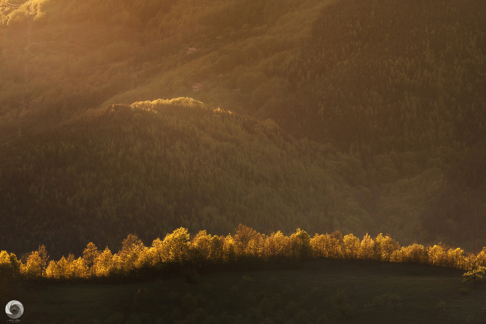 Canon EOS 40D sample photo. Golden hour photography