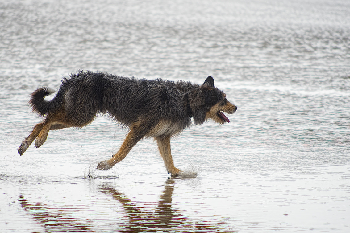 Nikon D750 + AF Nikkor 70-210mm f/4-5.6 sample photo. Un seul appui photography