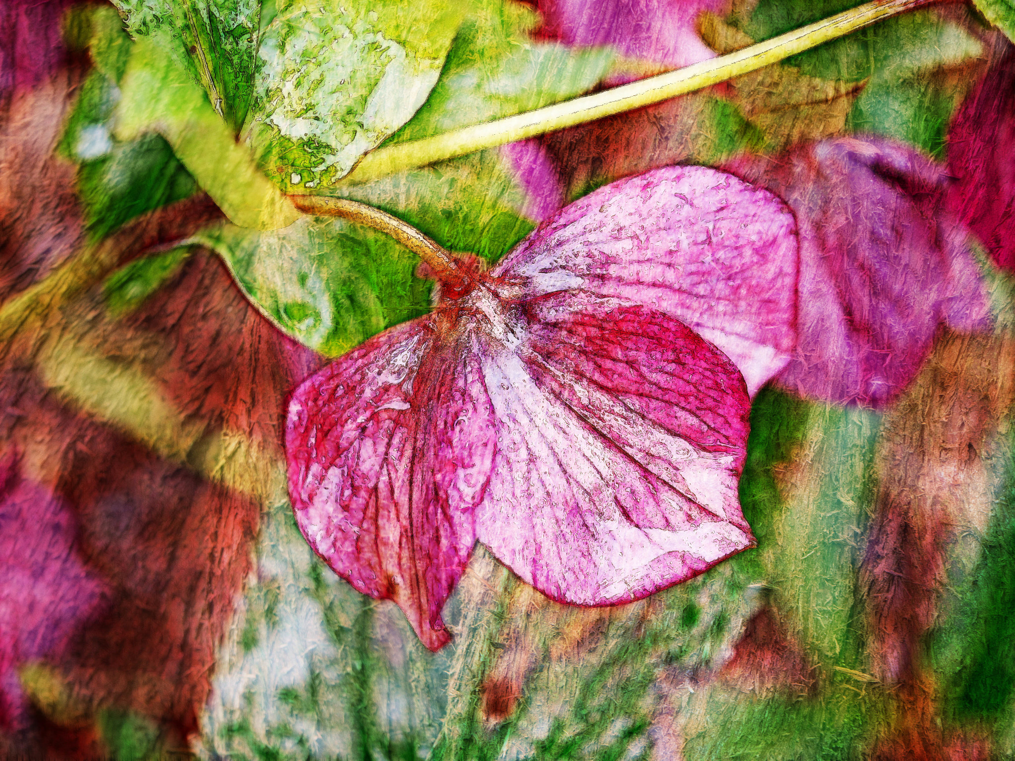 Panasonic Lumix DMC-G5 sample photo. Stained glass photography