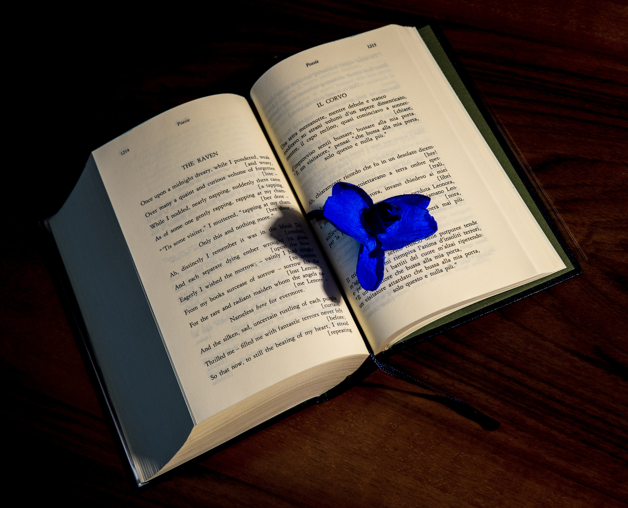 Nikon Df sample photo. Book photography