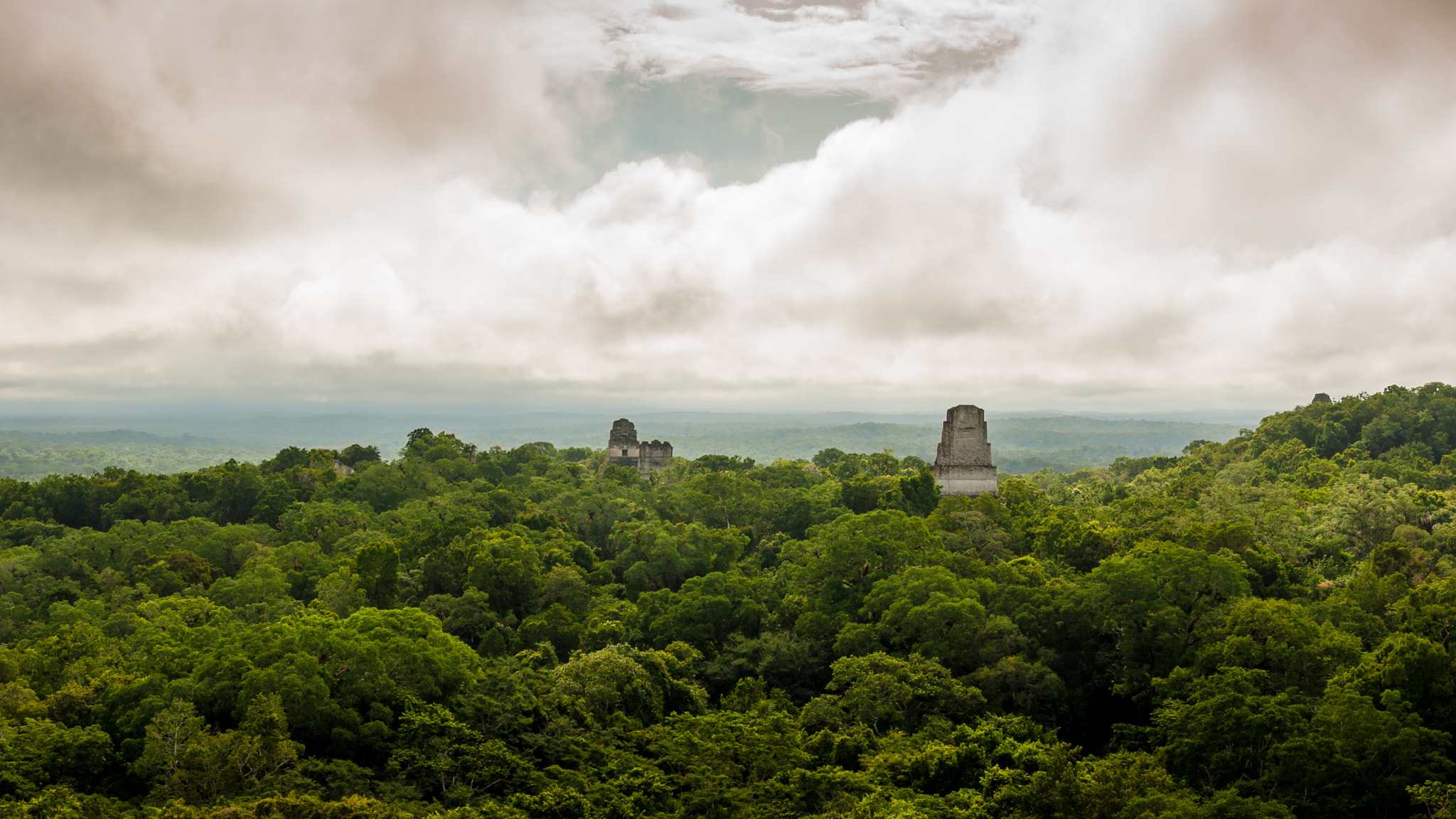 Sony Alpha DSLR-A700 sample photo. Jungle tikal photography