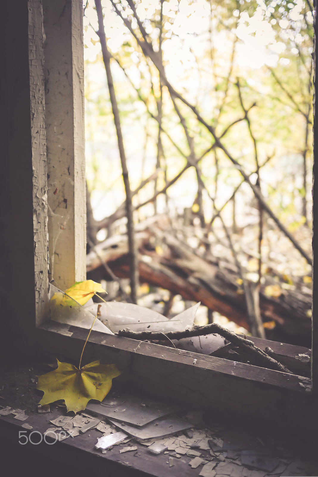 Panasonic Lumix DMC-GX7 + Panasonic Lumix G 20mm F1.7 ASPH sample photo. © paula datti photography