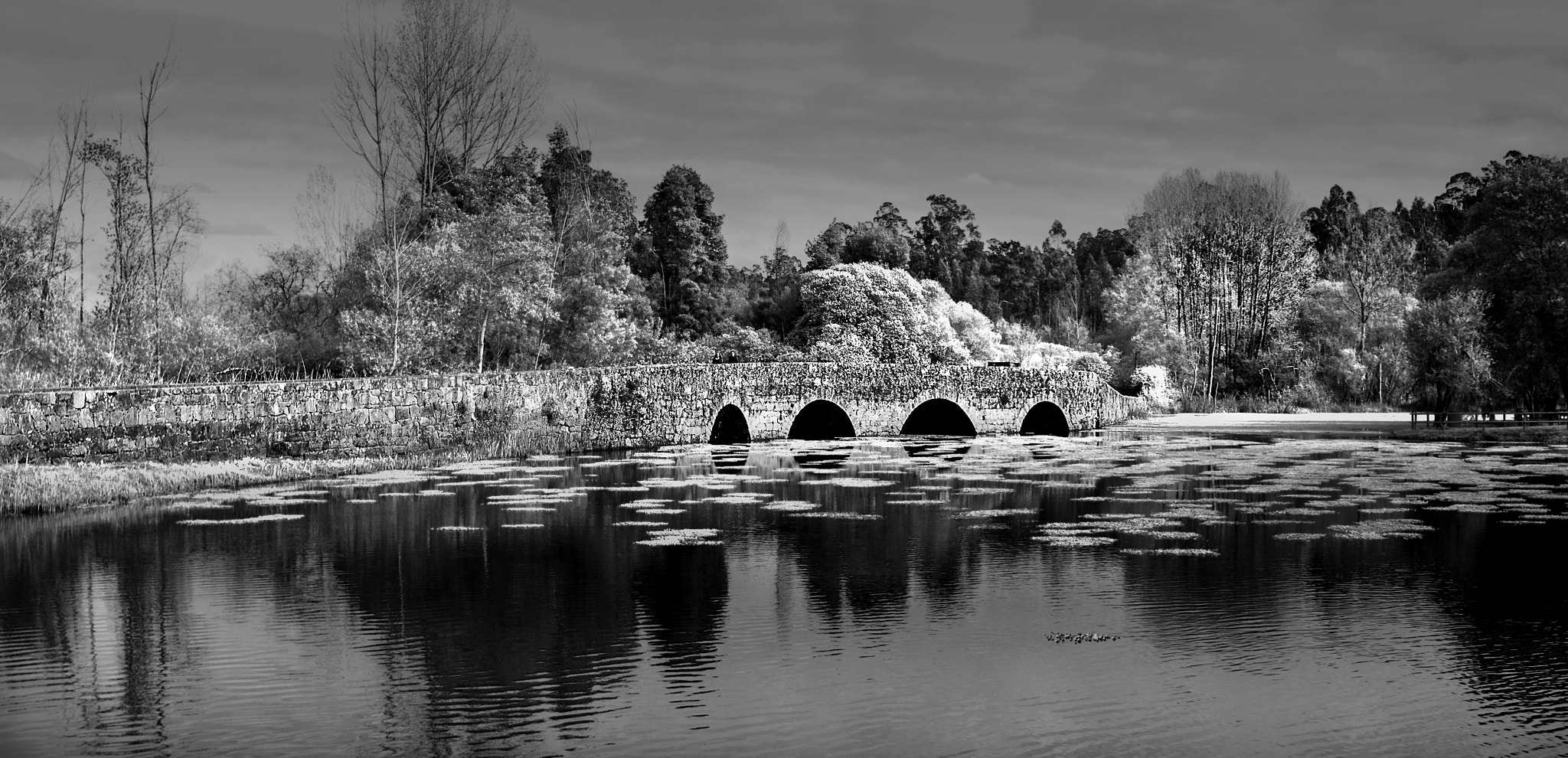 Sony SLT-A55 (SLT-A55V) sample photo. Ponte do marnel photography