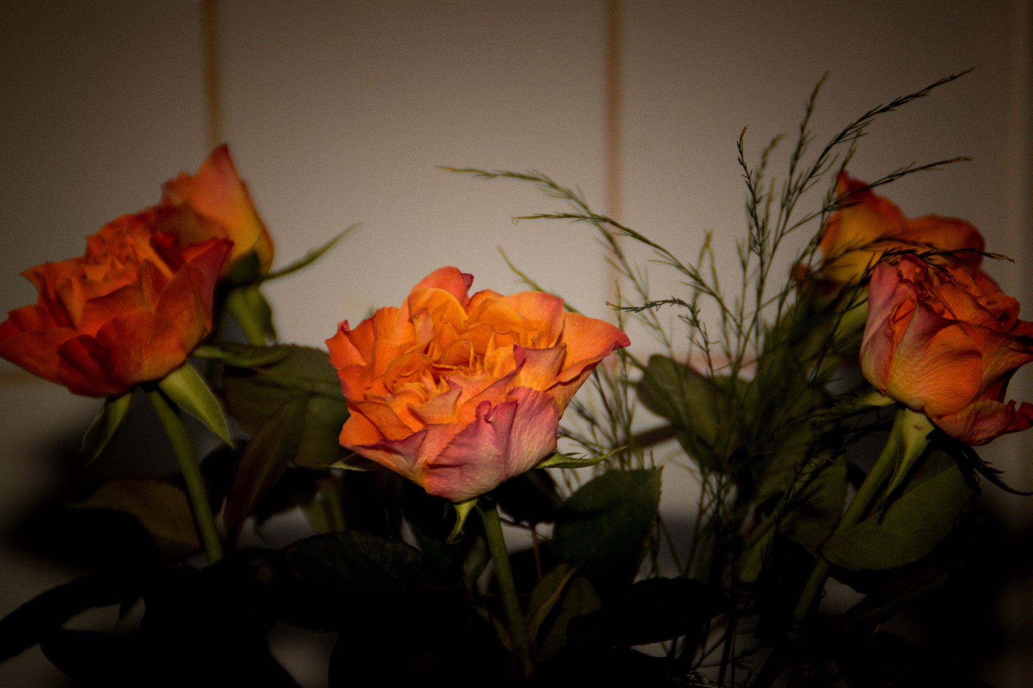 Canon EOS 70D + Canon 18-200mm sample photo. Roses photography