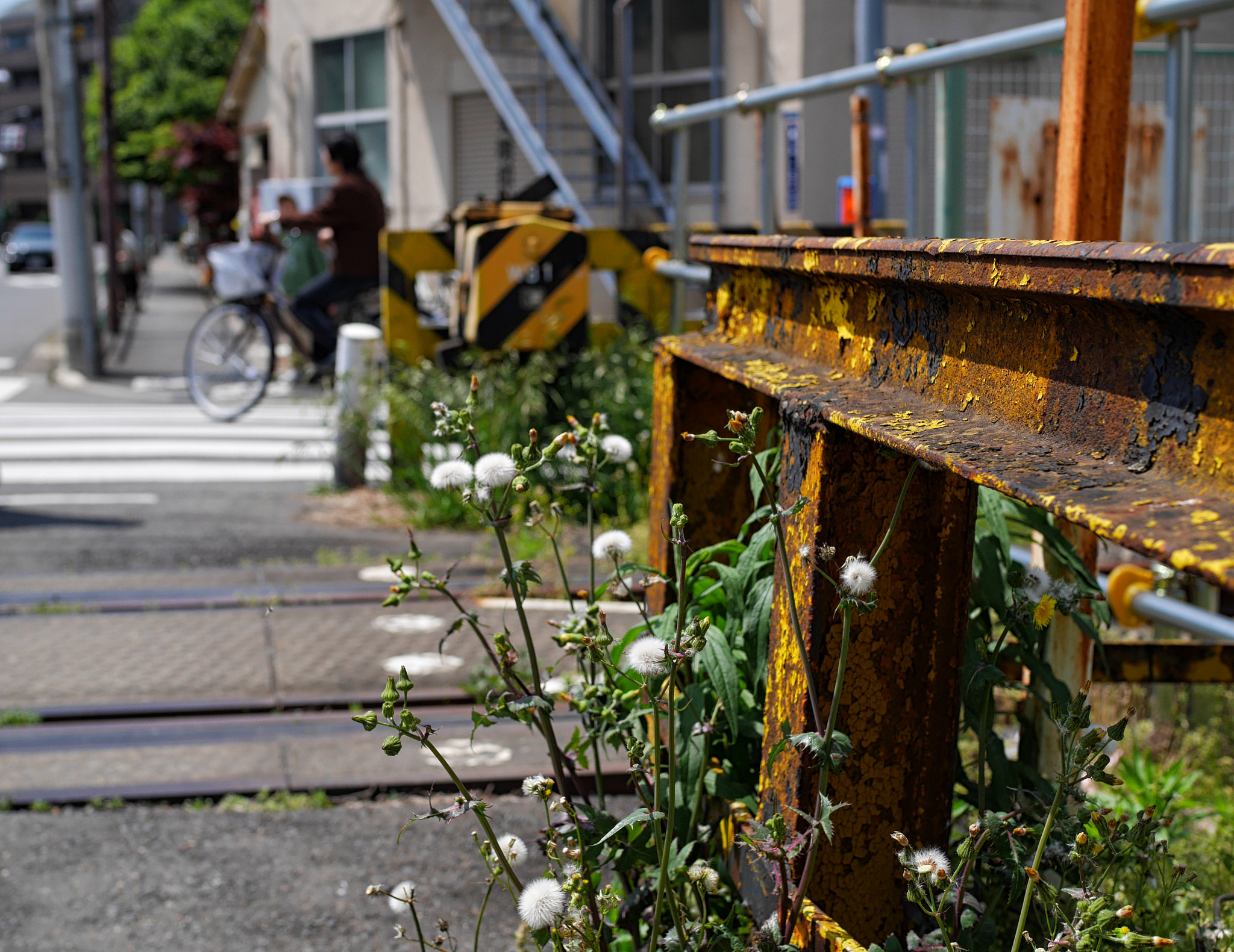 Panasonic Lumix DMC-GX7 + Olympus M.Zuiko Digital 25mm F1.8 sample photo. Along the rusty line photography