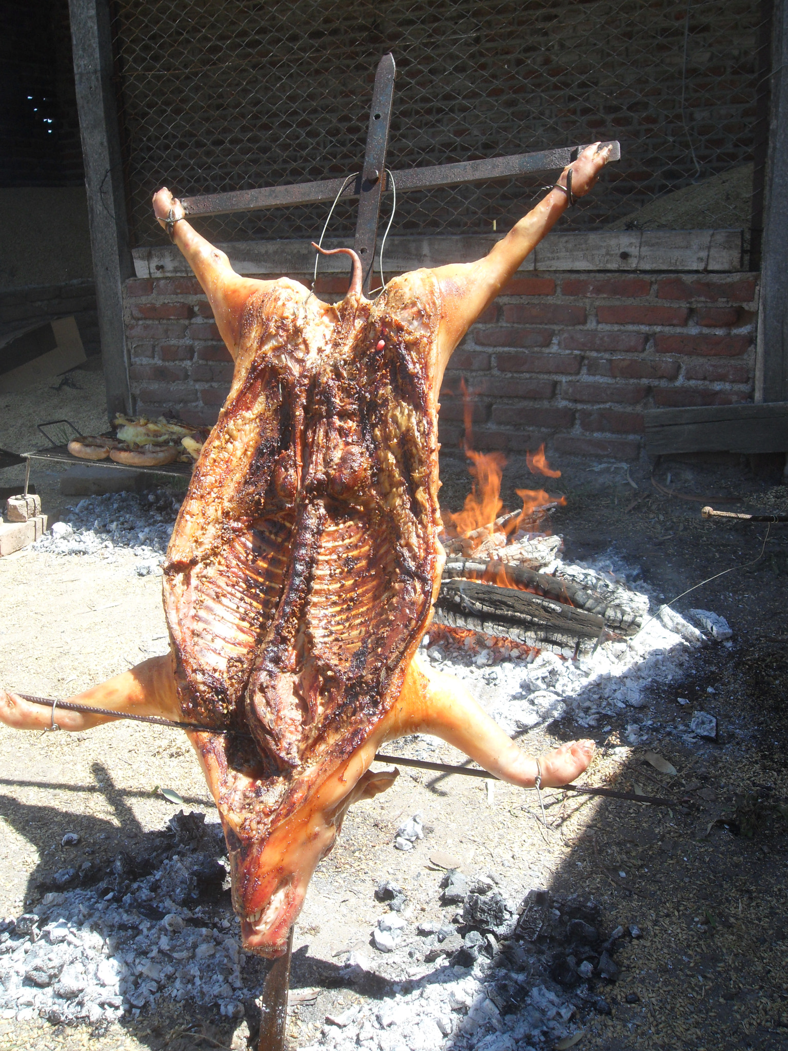 Samsung ST550 /  ST560 / VLUU ST550 /  TL225 sample photo. Cerdo al asador photography