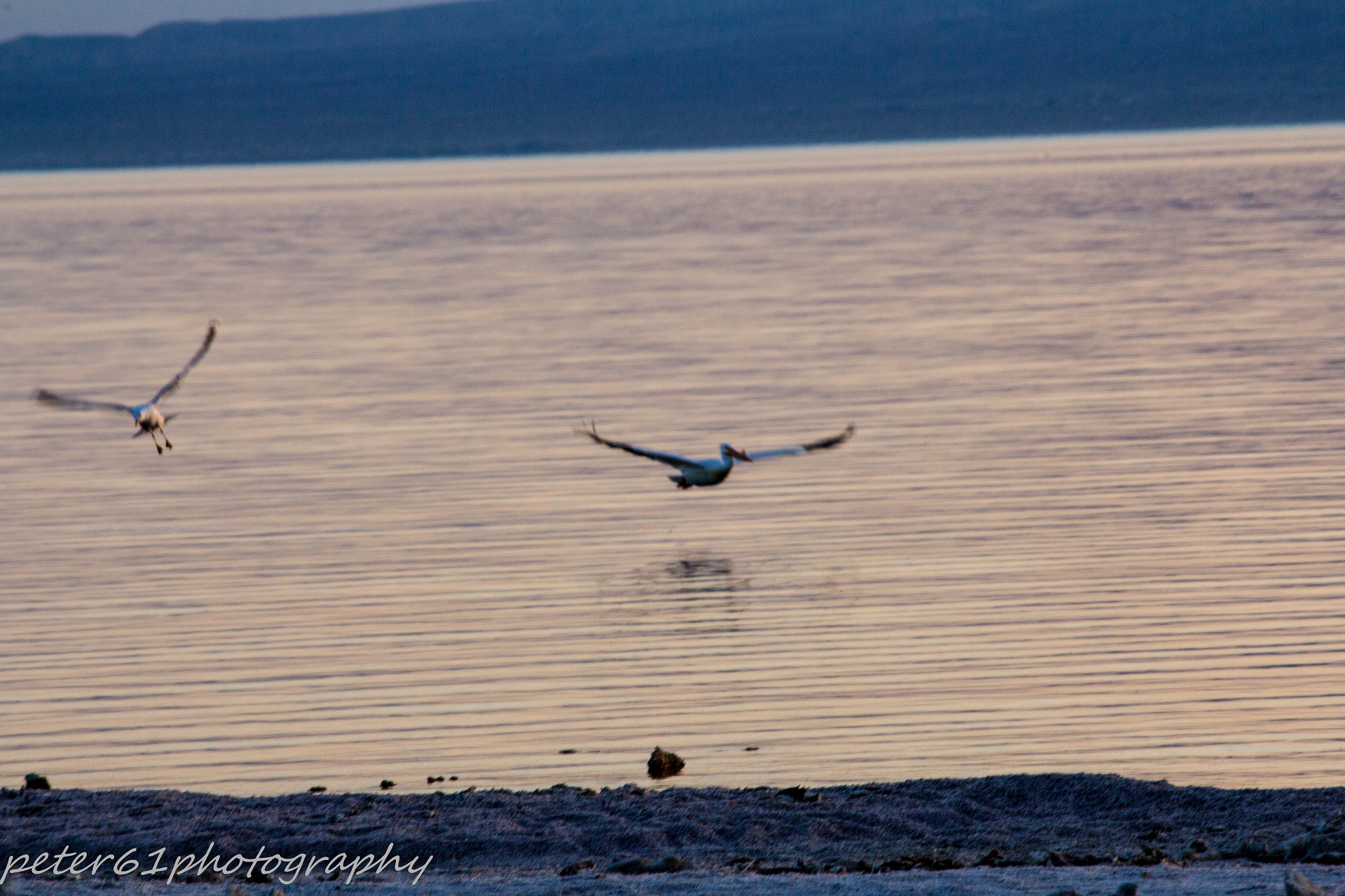 Canon EF-S 55-250mm F4-5.6 IS sample photo. Salton sea photography