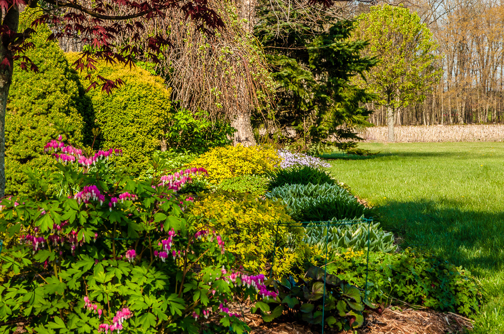 Pentax K20D sample photo. Spring morning photography