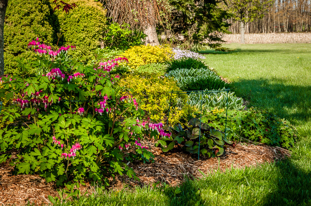 Pentax K20D sample photo. Spring morning photography