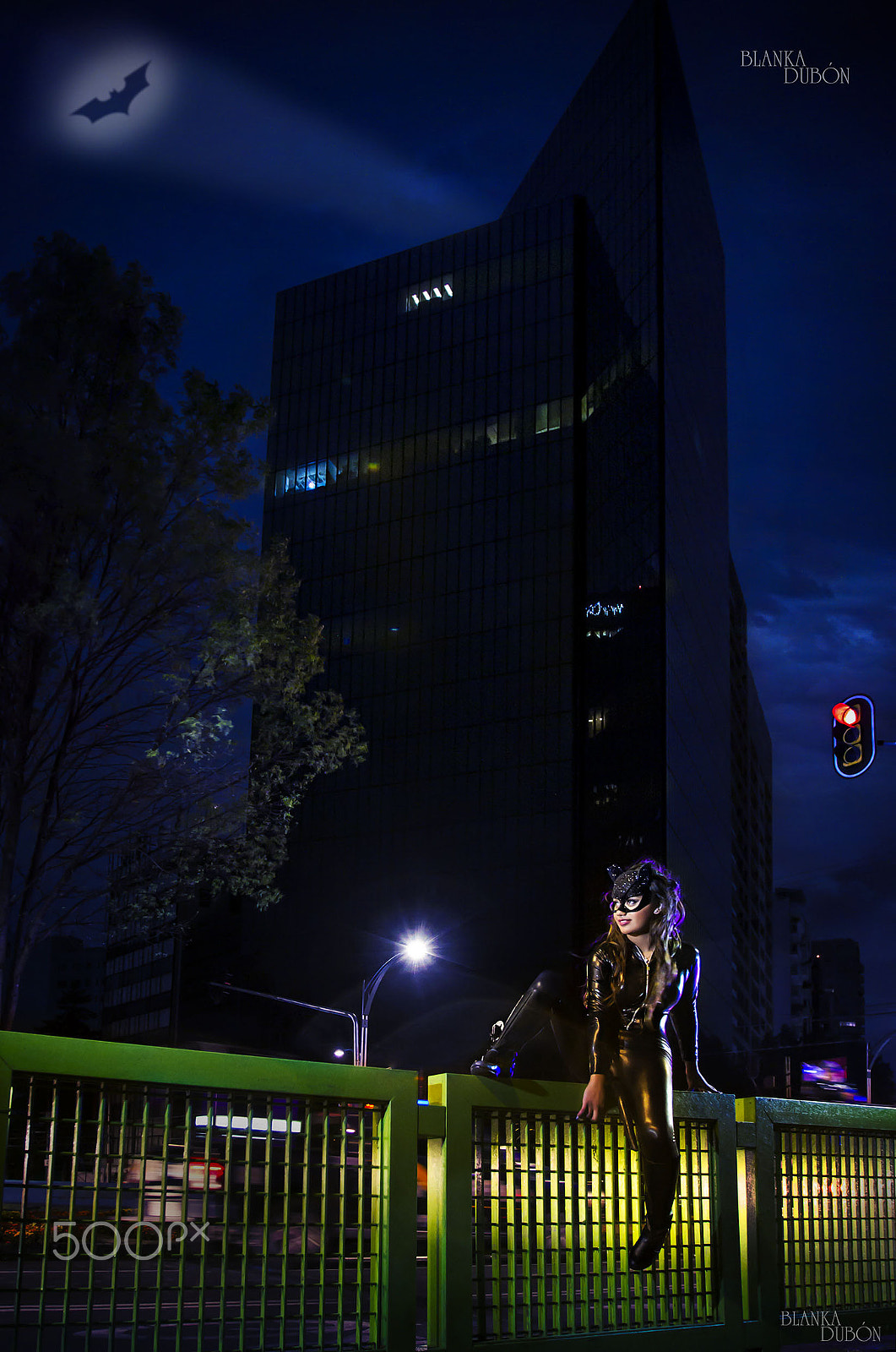 Canon EOS 600D (Rebel EOS T3i / EOS Kiss X5) + Canon EF 16-35mm F2.8L USM sample photo. Cat woman photography