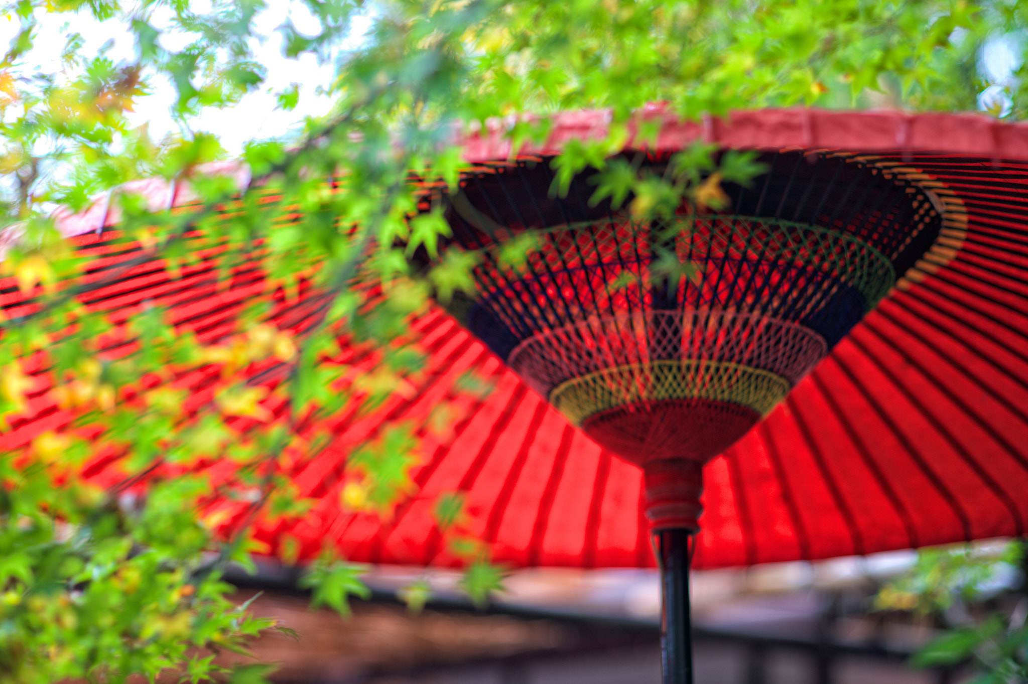 Nikon Df + AF Nikkor 50mm f/1.8 sample photo. Kyoto in autumn photography