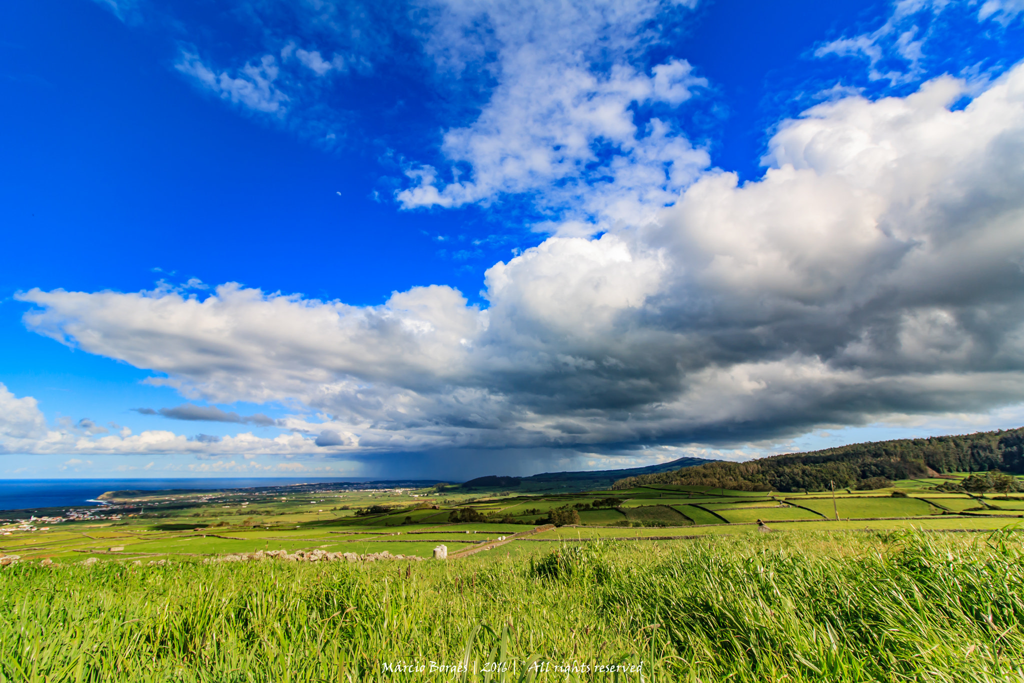 Canon EF-S 10-18mm F4.5–5.6 IS STM sample photo. Banho de chuva photography