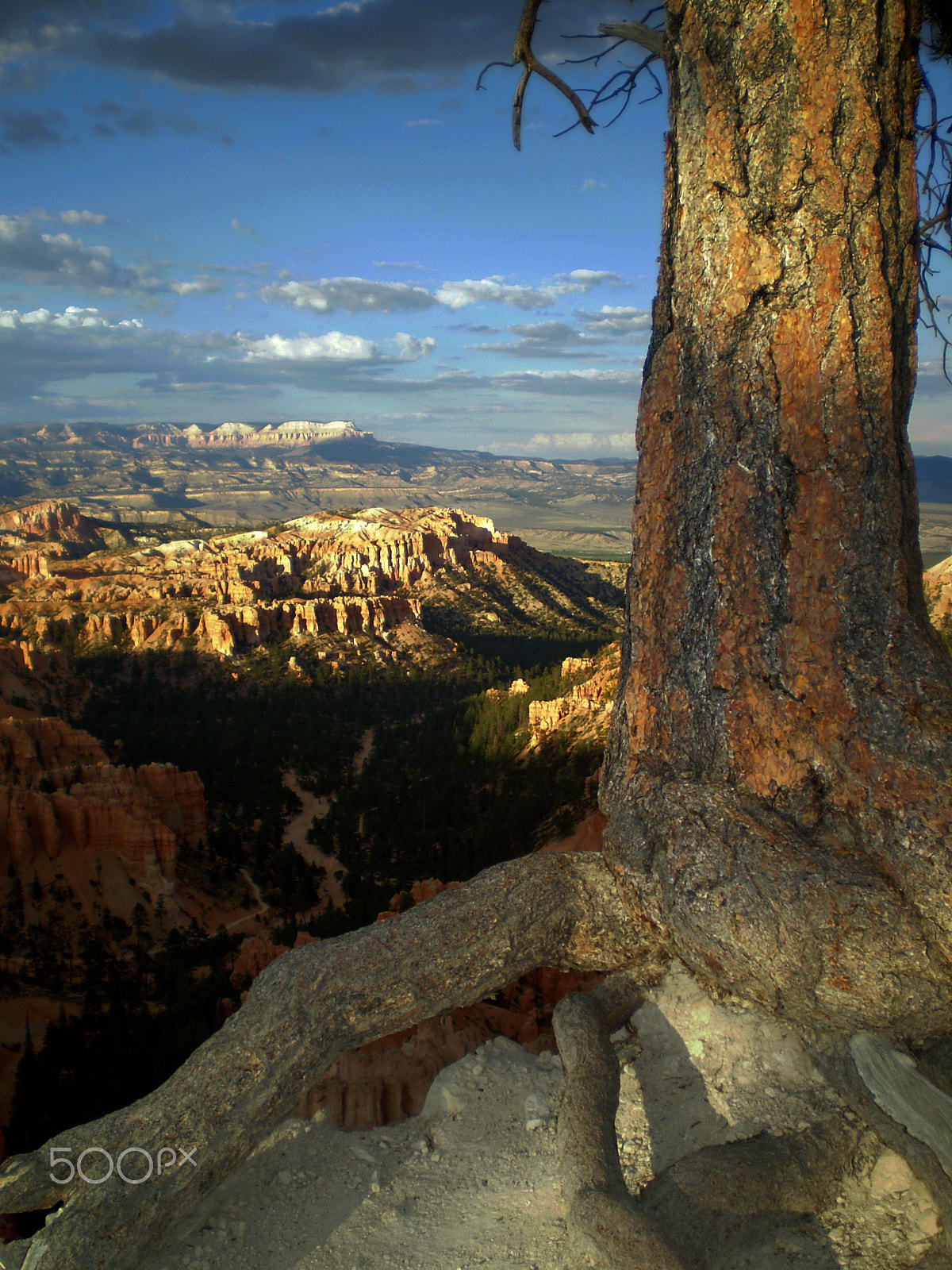 Olympus FE210,X775 sample photo. Brice canyon photography