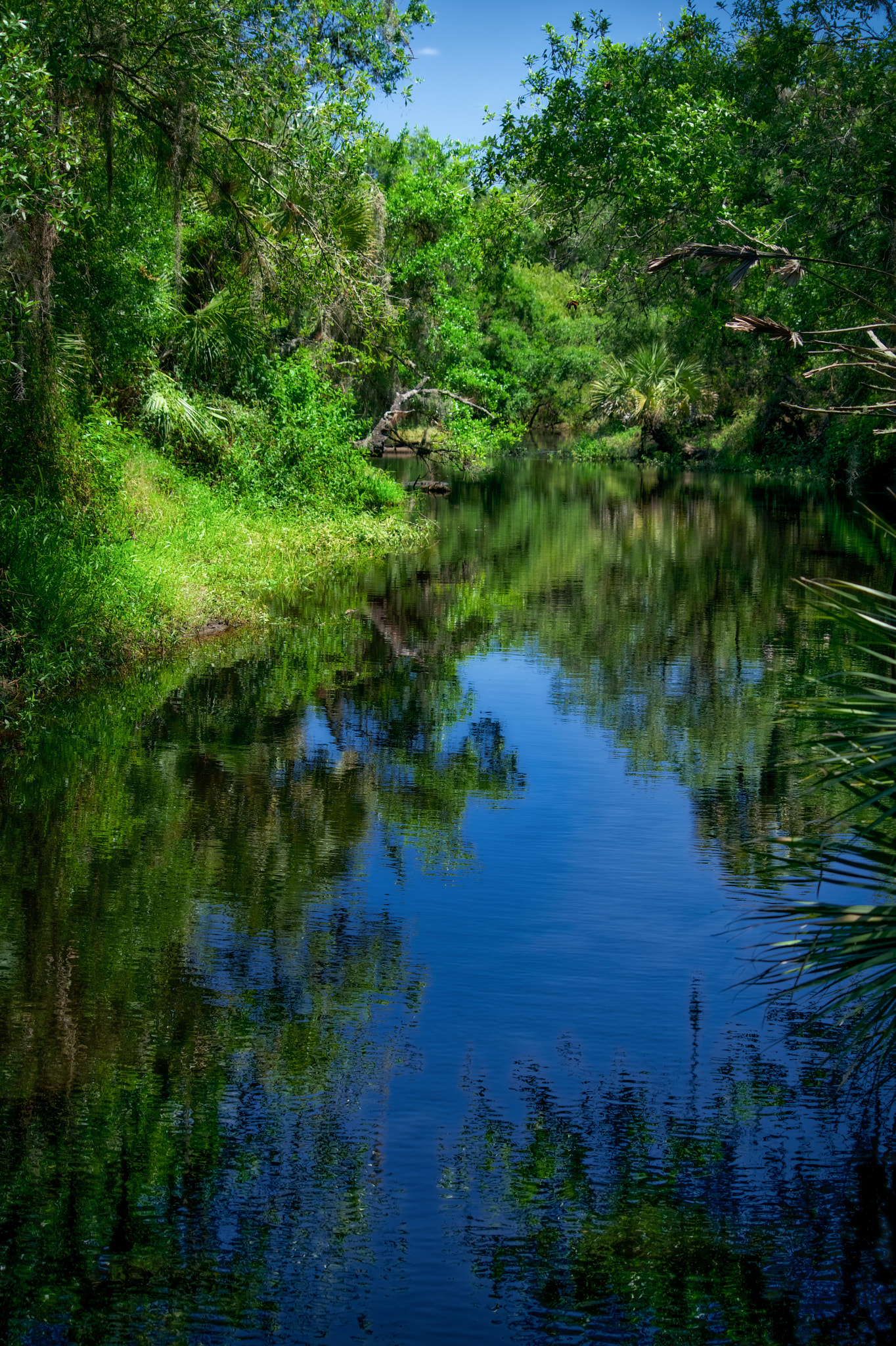 Sony FE 28-70mm F3.5-5.6 OSS sample photo. Clay gully photography