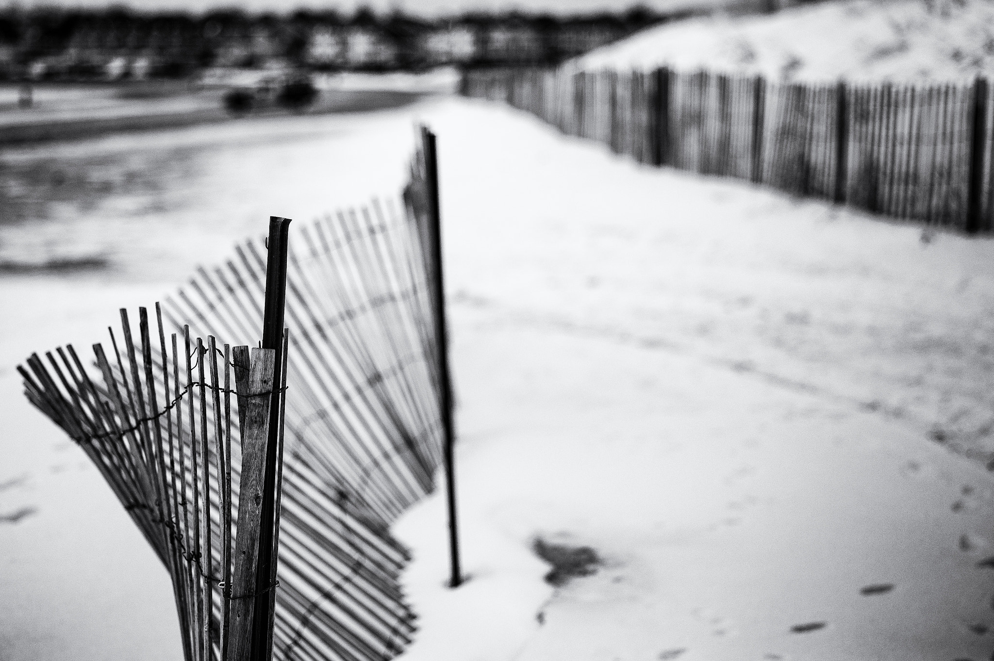 Leica M9 + Leica Summarit-M 75mm F2.5 sample photo. Windbreak photography