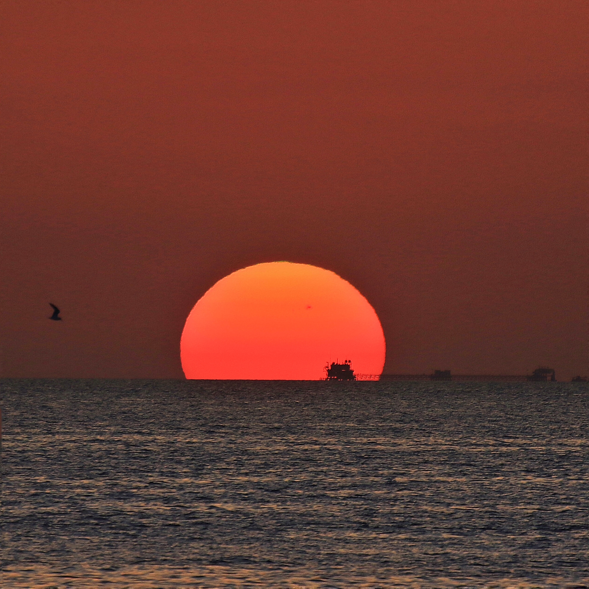 Canon EF 100-400mm F4.5-5.6L IS USM sample photo. Good morning sunrise to day photography