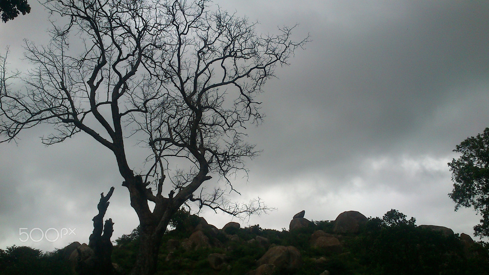 Sony Ericsson Live with Walkman sample photo. Lonely photography