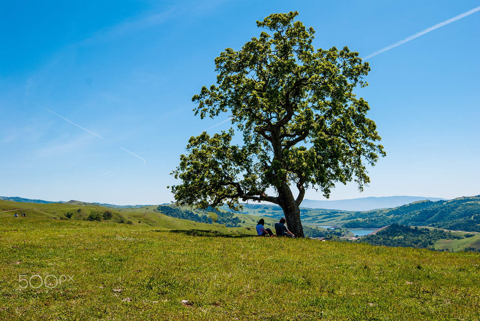 Nikon AF-S Nikkor 16-35mm F4G ED VR sample photo. Sunol regional wilderness hike april photography