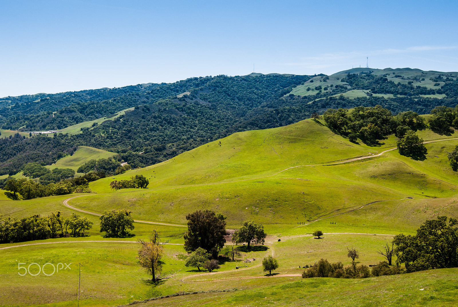 Nikon AF-S Nikkor 16-35mm F4G ED VR sample photo. Sunol regional wilderness hike april photography