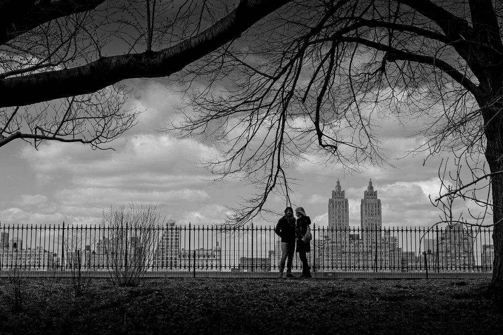 Central Park Pairs by steve muth on 500px.com