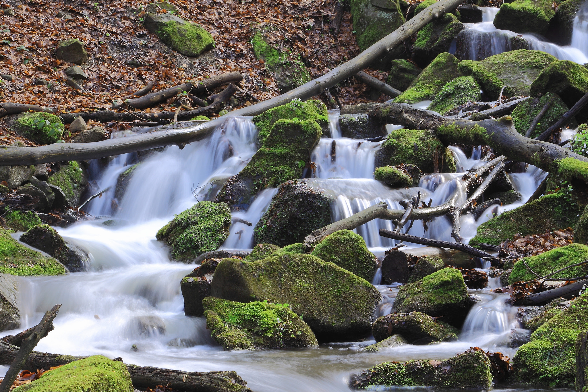 Canon EF 24-105mm F4L IS USM sample photo. Green rocks photography