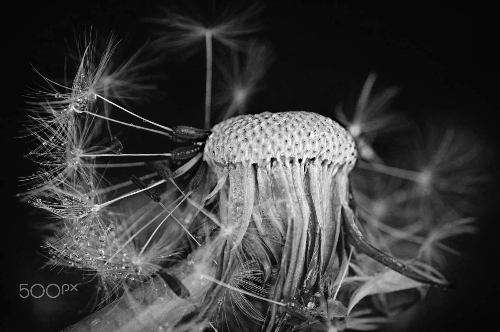 Pentax K-3 sample photo. As time goes by photography