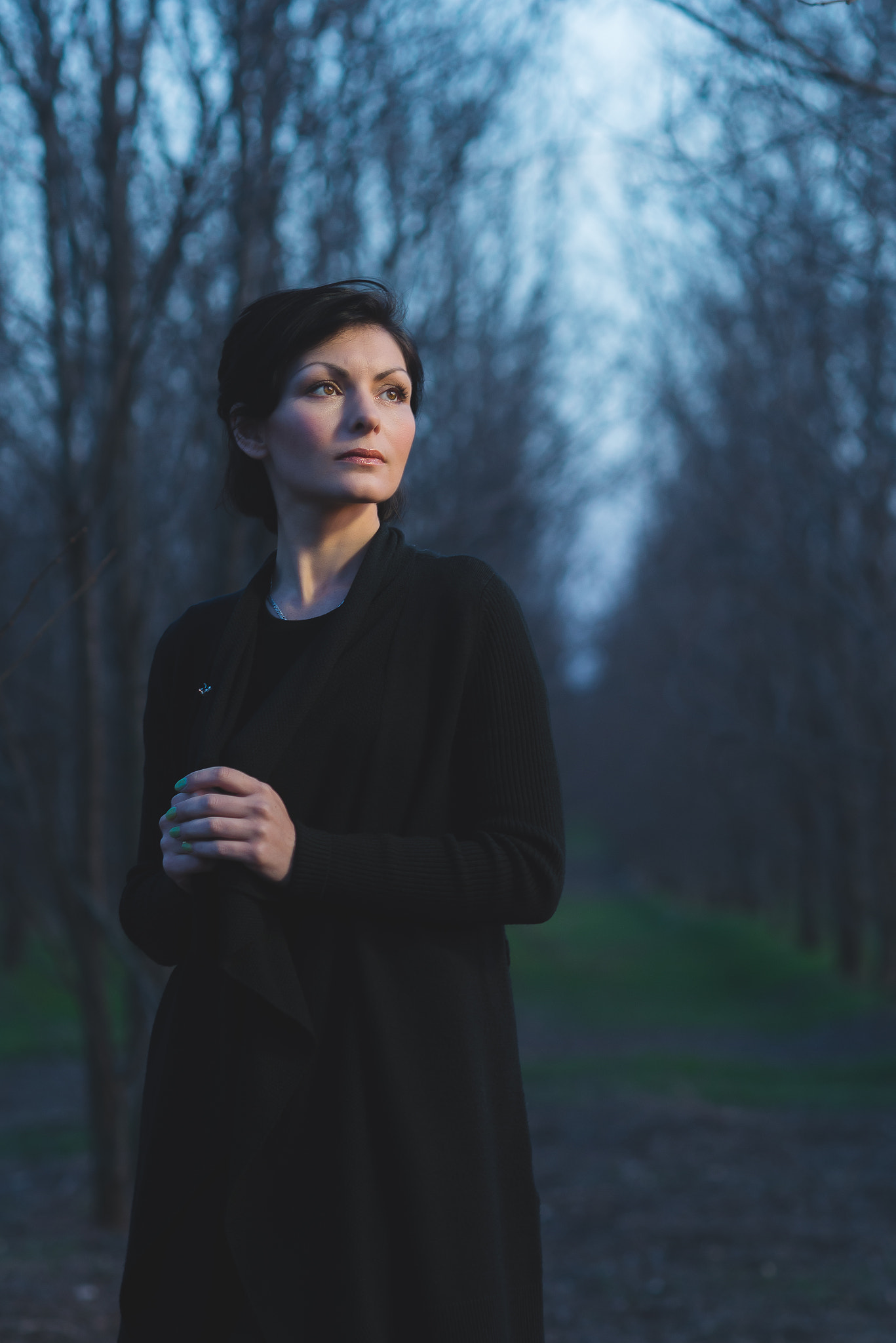 Nikon D610 + Nikon AF Nikkor 105mm F2D DC sample photo. Последние лучи солнца photography