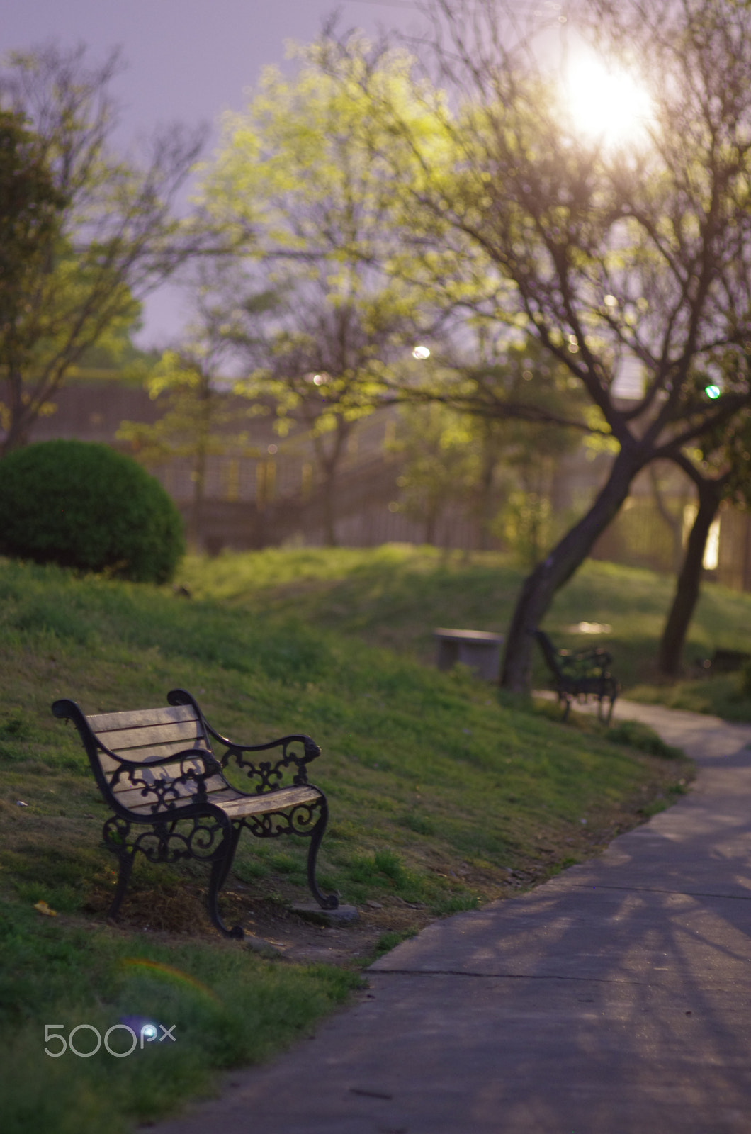 Pentax K-5 + Pentax smc FA 77mm 1.8 Limited sample photo. 谜之森 photography