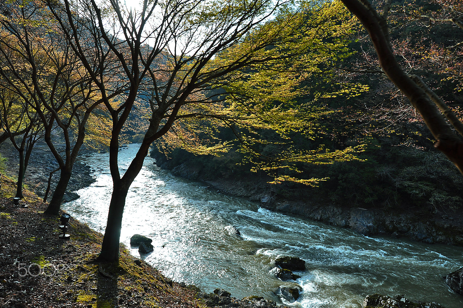 Nikon AF-S Nikkor 16-35mm F4G ED VR sample photo. Romantic train route in sagano, japan photography
