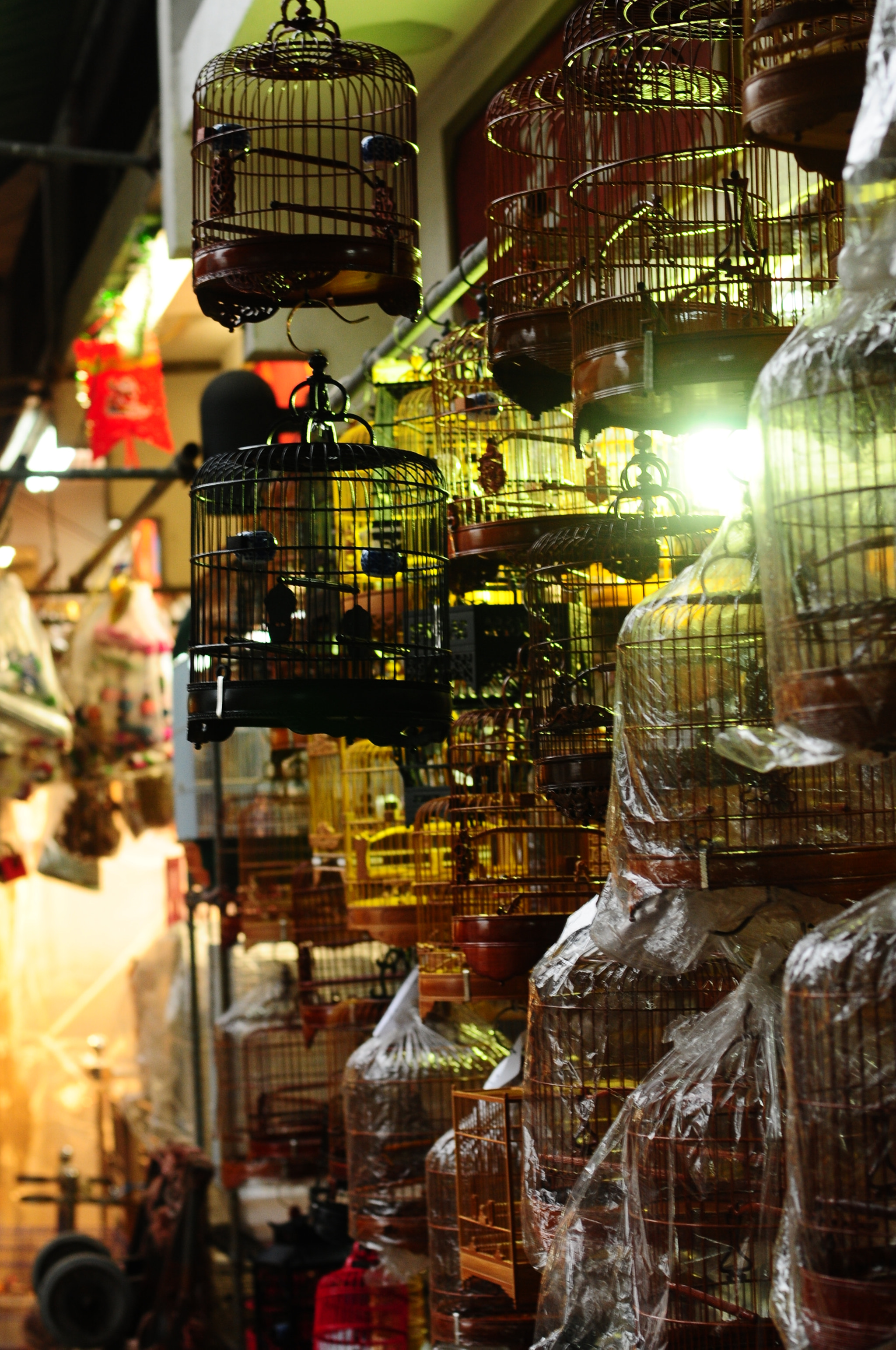 Nikon D300 + Manual Lens No CPU sample photo. Cages photography