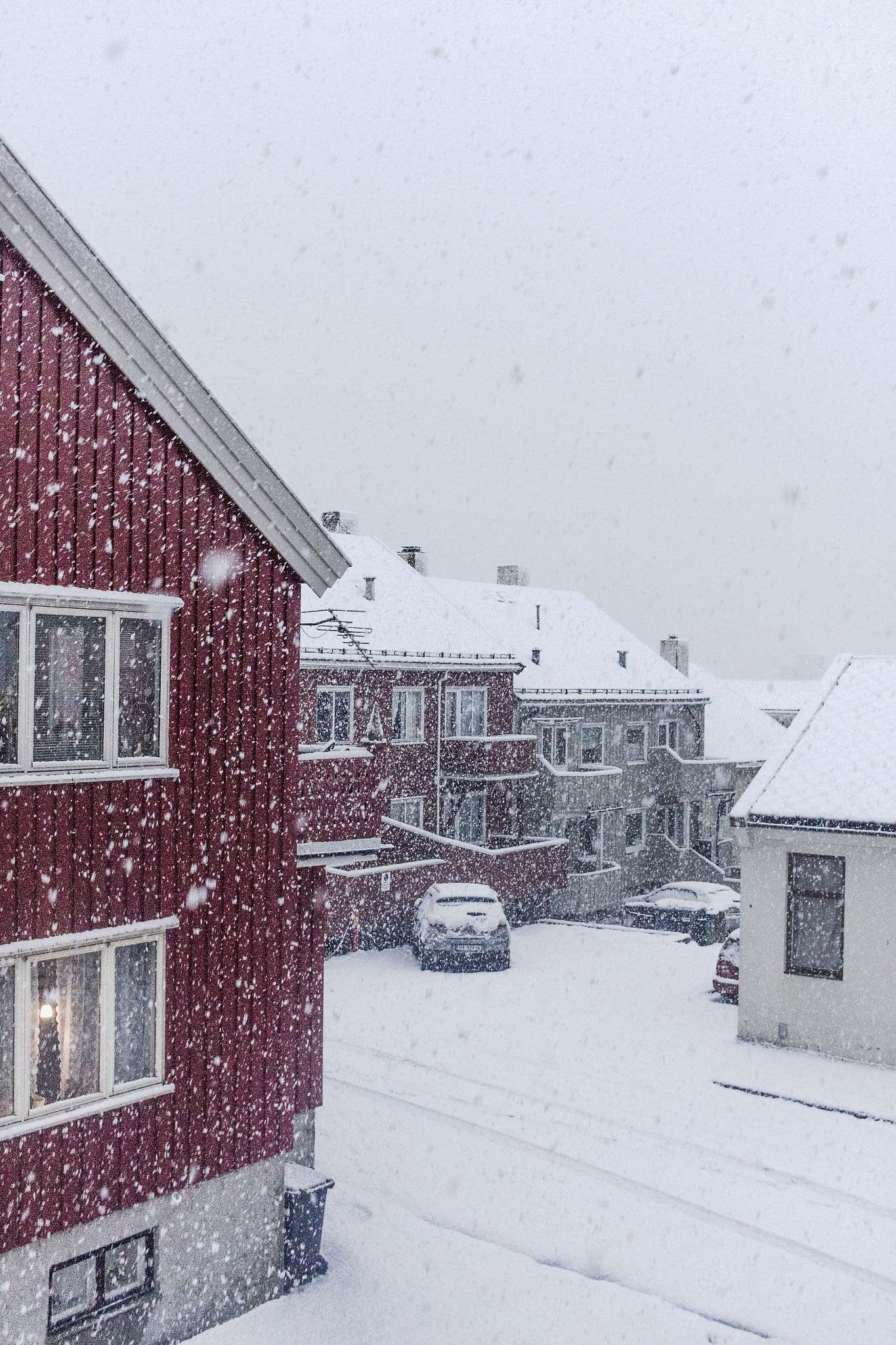 Canon EOS 550D (EOS Rebel T2i / EOS Kiss X4) sample photo. Snowfall in norway photography