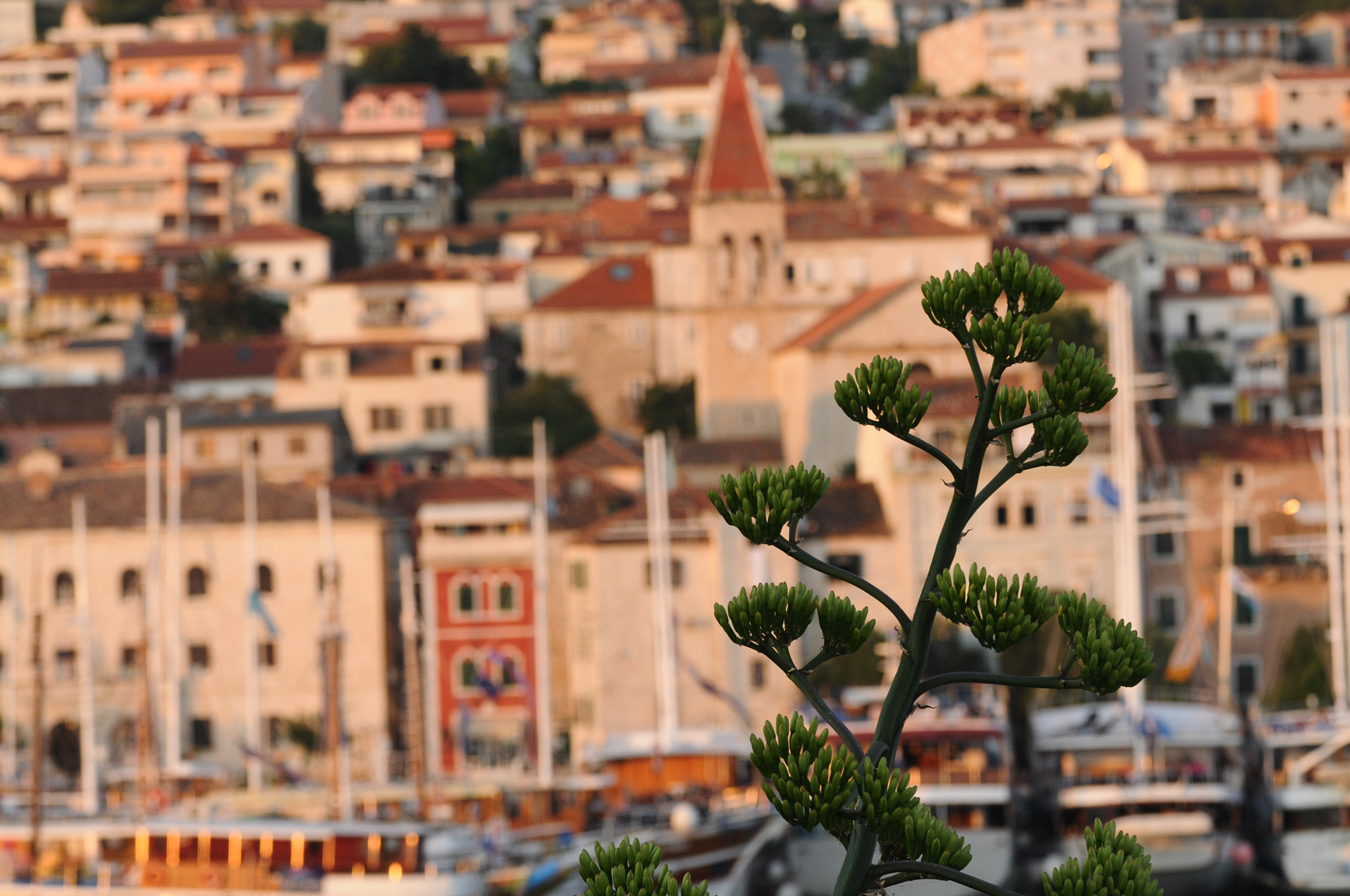 Sigma 70-200mm F2.8 EX DG OS HSM sample photo. Makarska photography