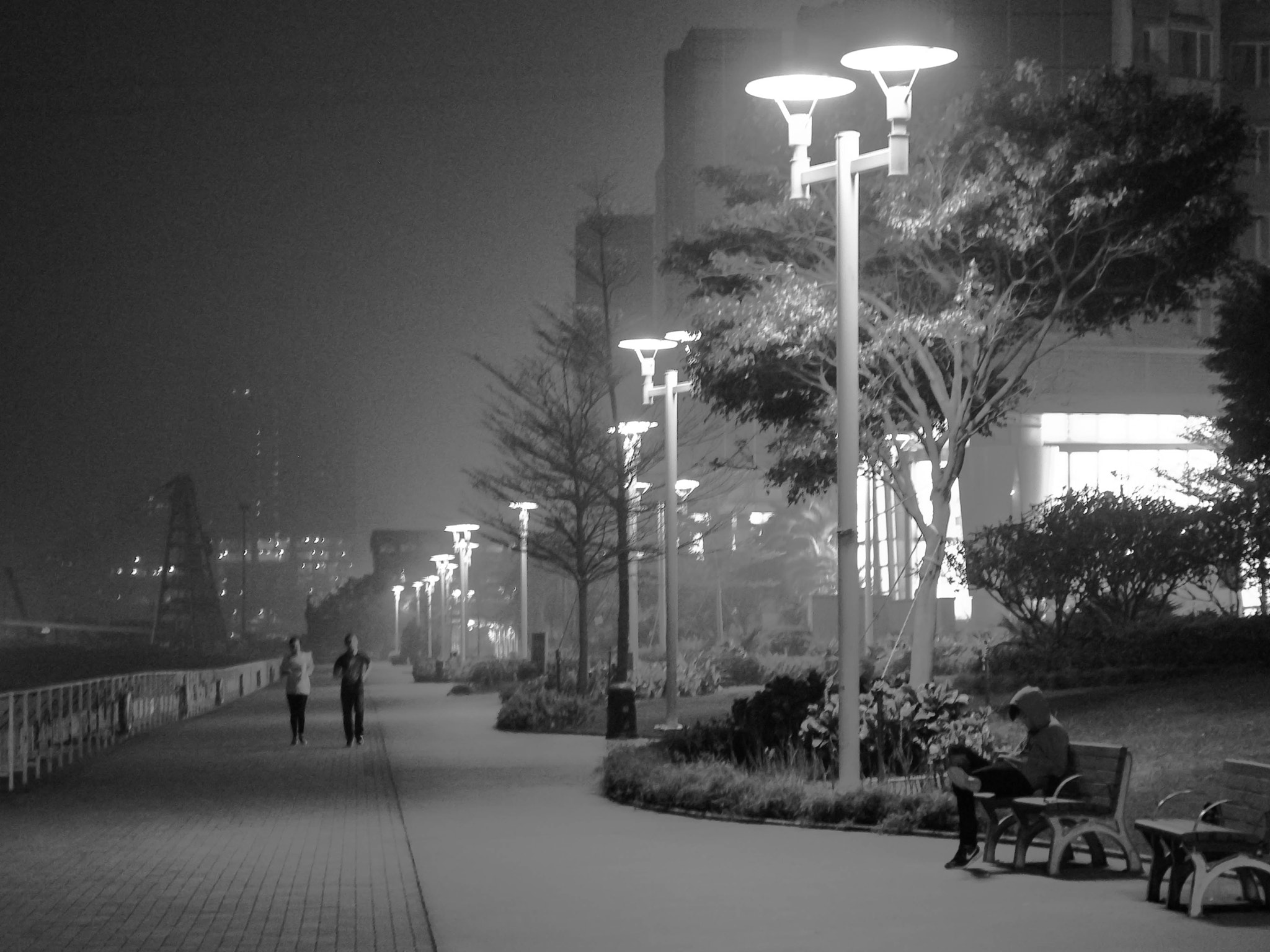 Sigma 17-70mm F2.8-4 DC Macro OS HSM sample photo. Good night hk photography