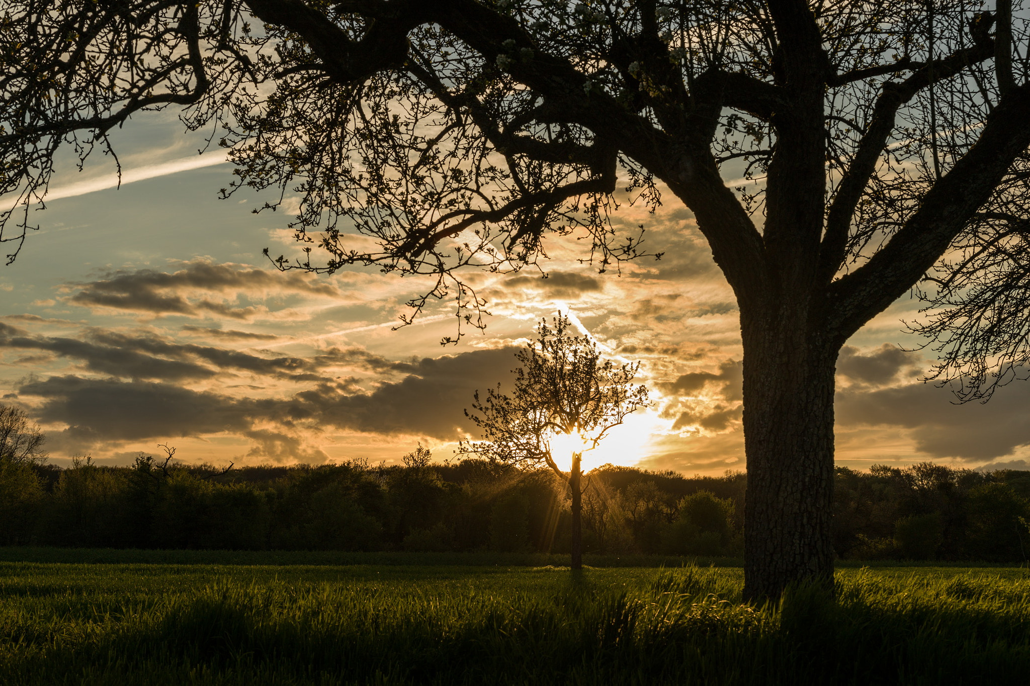 Hasselblad H5D + HC 50-110 sample photo. Sunset ii photography