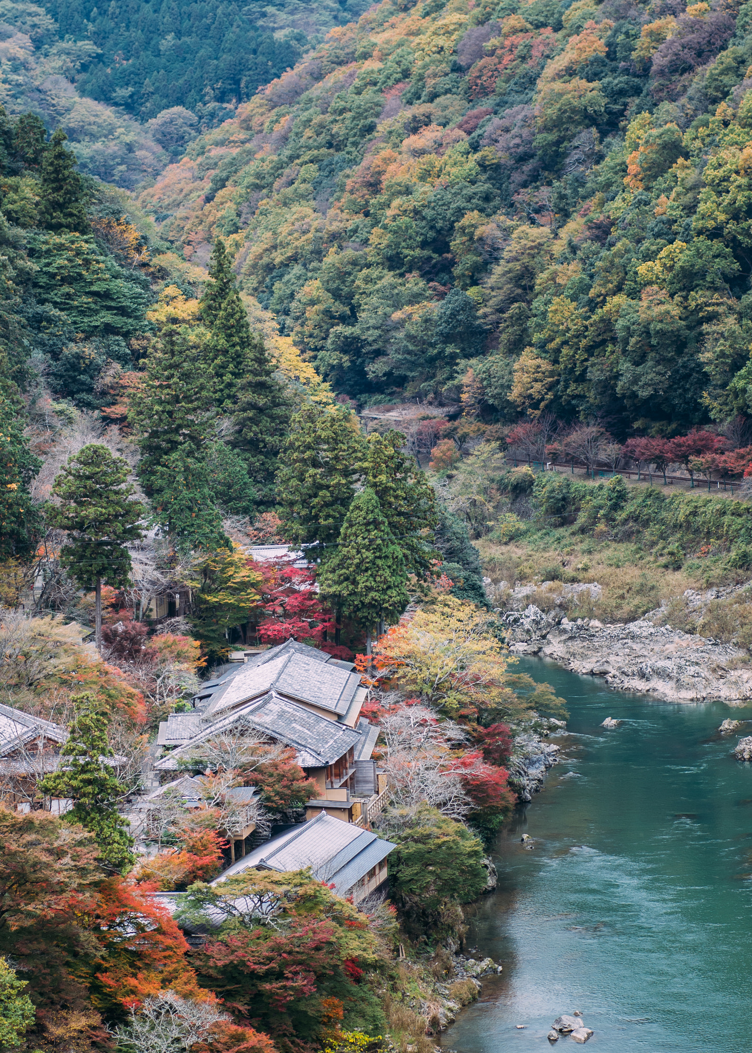 Pentax K-r + Sigma sample photo. Arashiyama photography