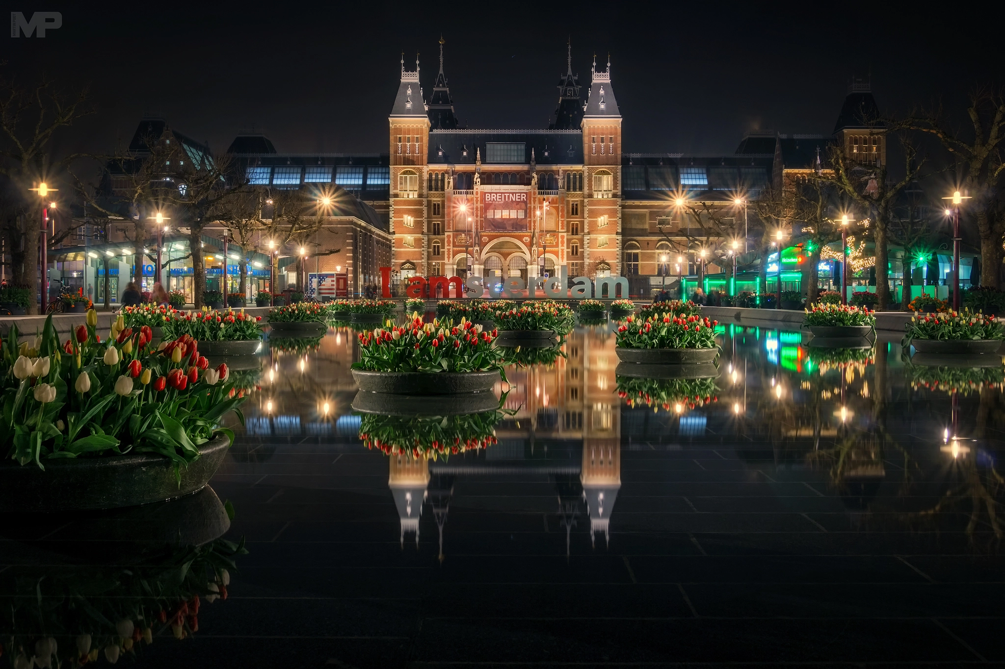 Sony E 18-200mm F3.5-6.3 OSS sample photo. Tulips from amsterdam photography