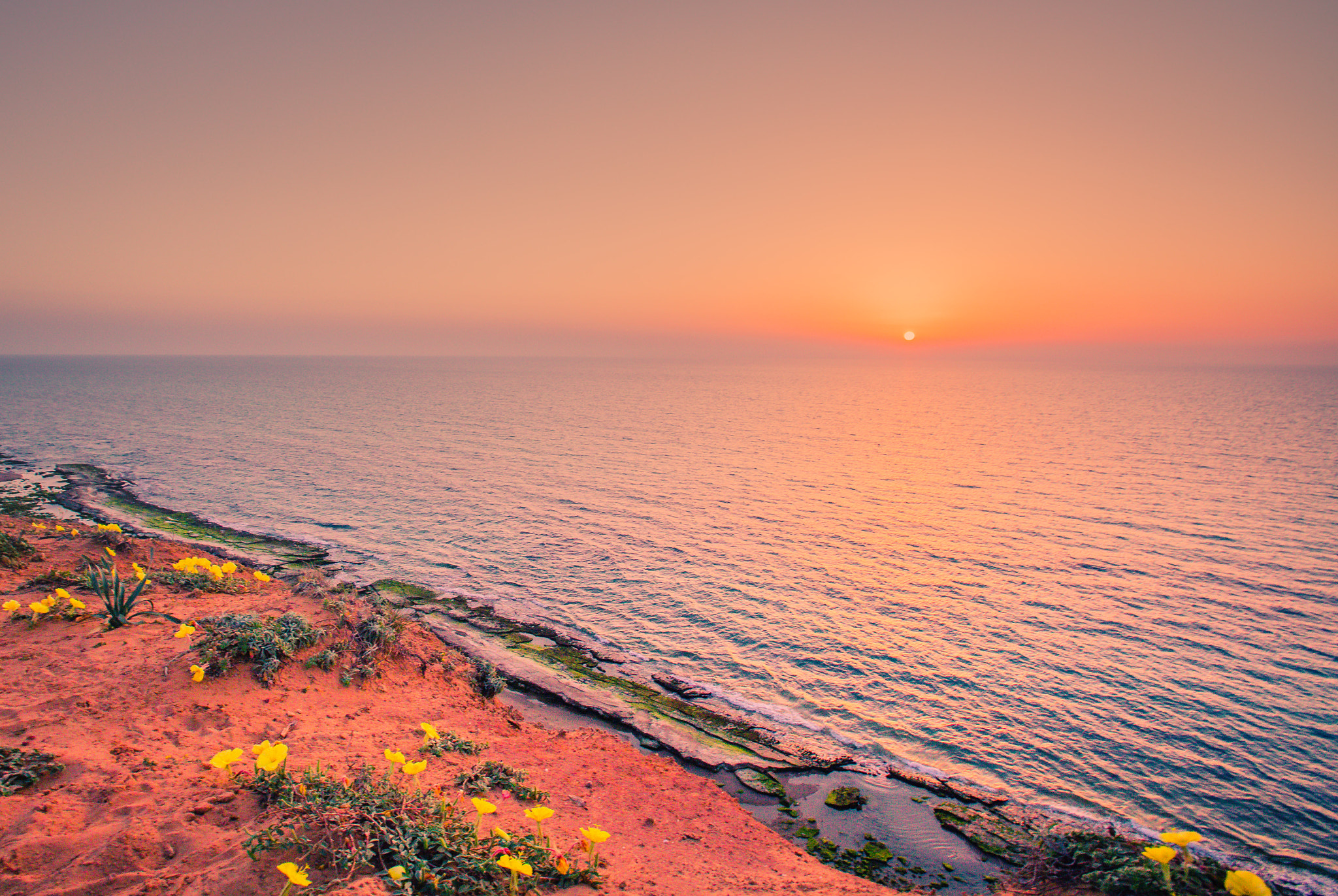 Canon EOS 6D + Canon EF 16-35mm F2.8L USM sample photo. Shefayim beach photography